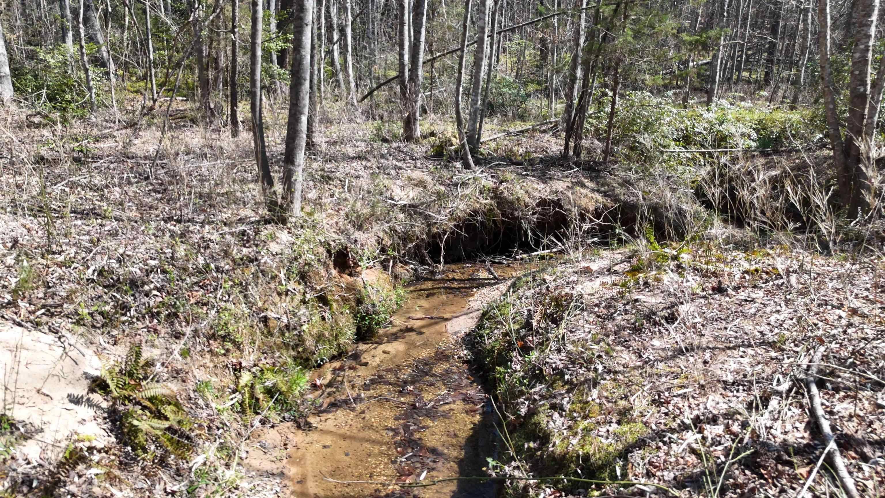 Columbus, NC 28756,19.75 Acres King Stepp RD
