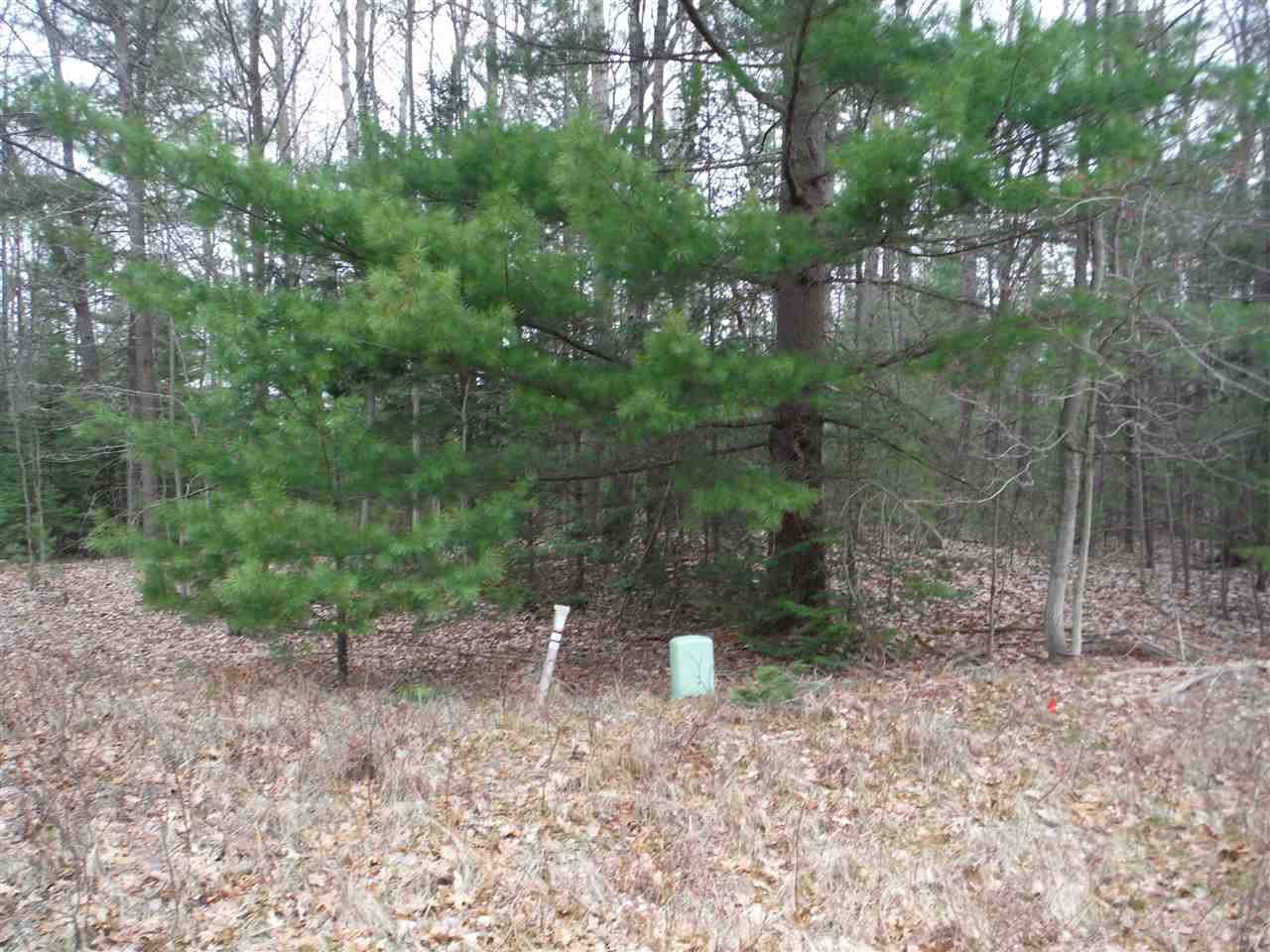 Prudenville, MI 48651,XXX Indian Oaks Lot 9