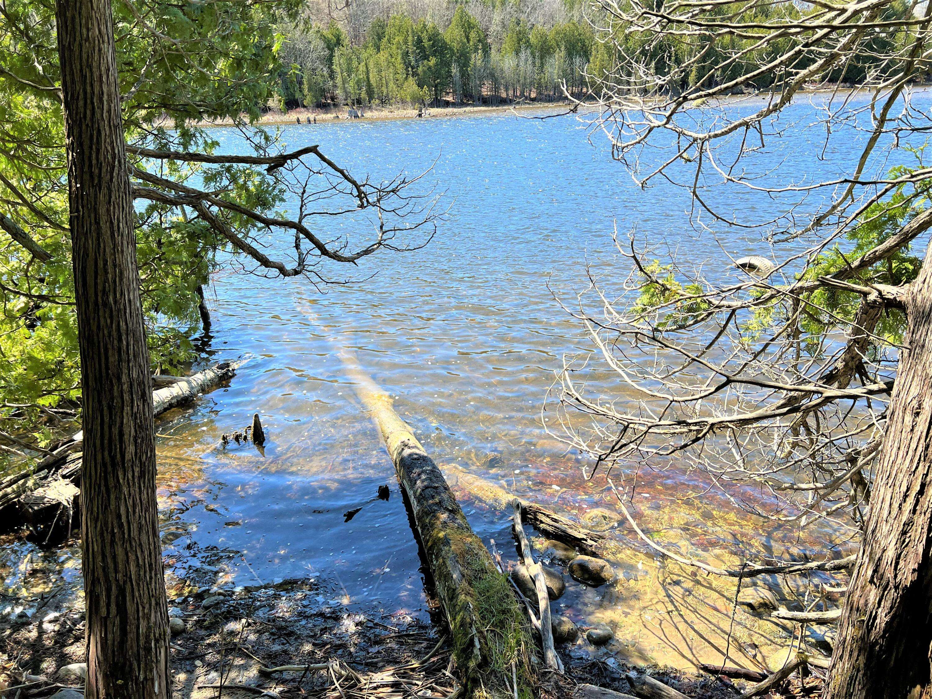 Cheboygan, MI 49721,Off River Edge DR Drive