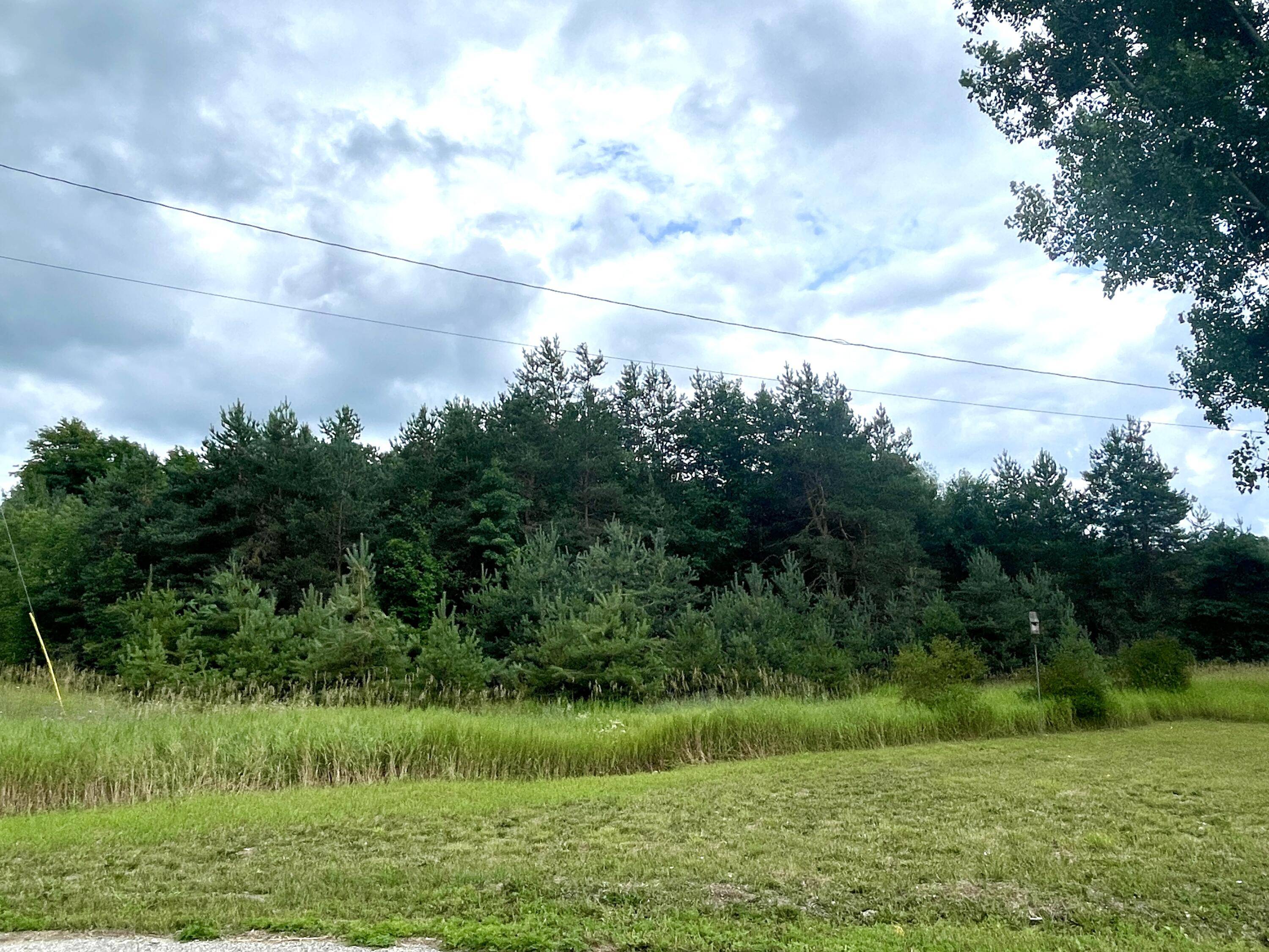 Elmira, MI 49730,1.6 ACRES Woodward AVE Avenue