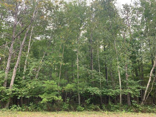 Presque Isle, MI 49777,Balsam DR Drive