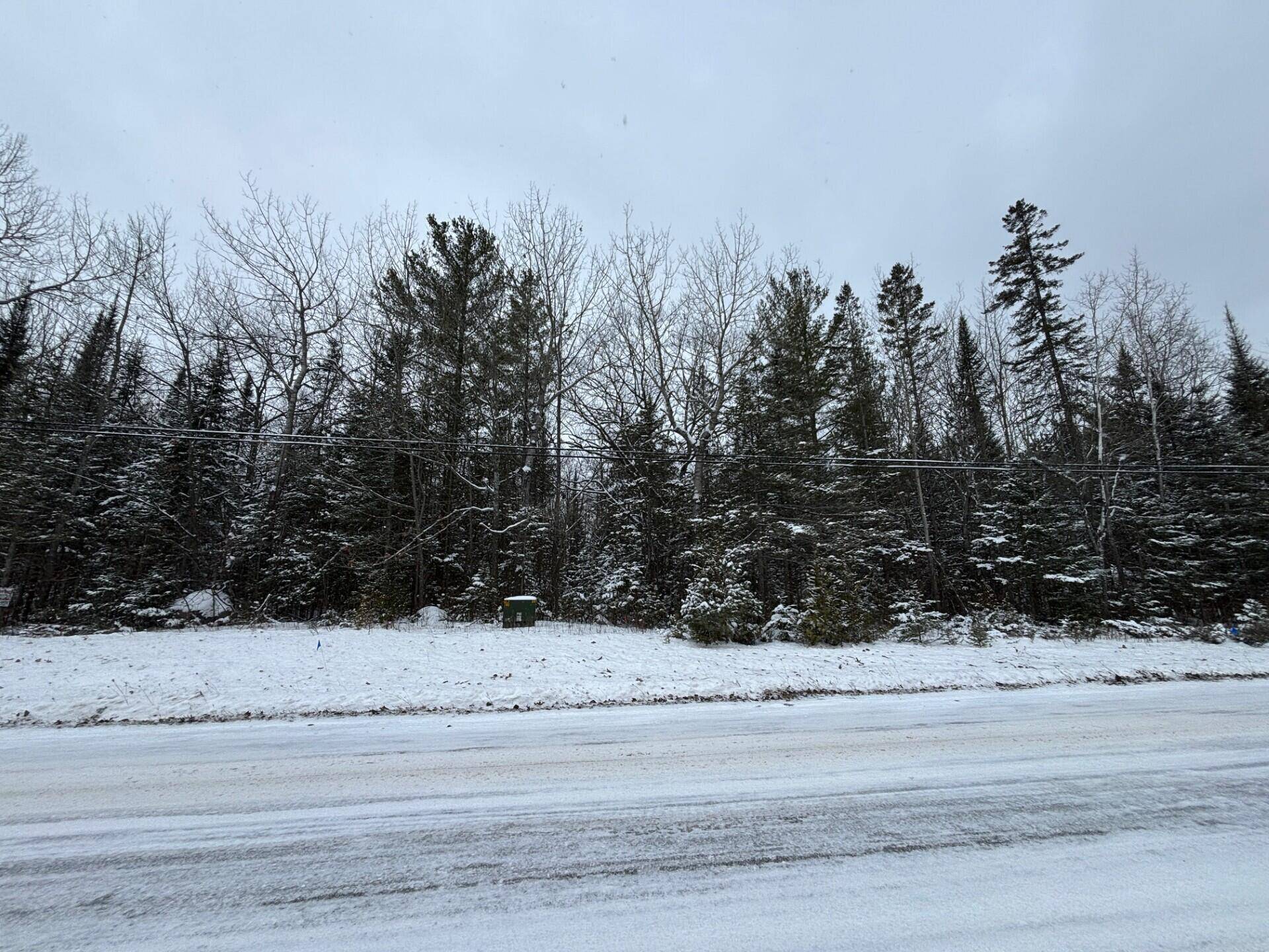 Presque Isle, MI 49777,E Grand Lake RD Road