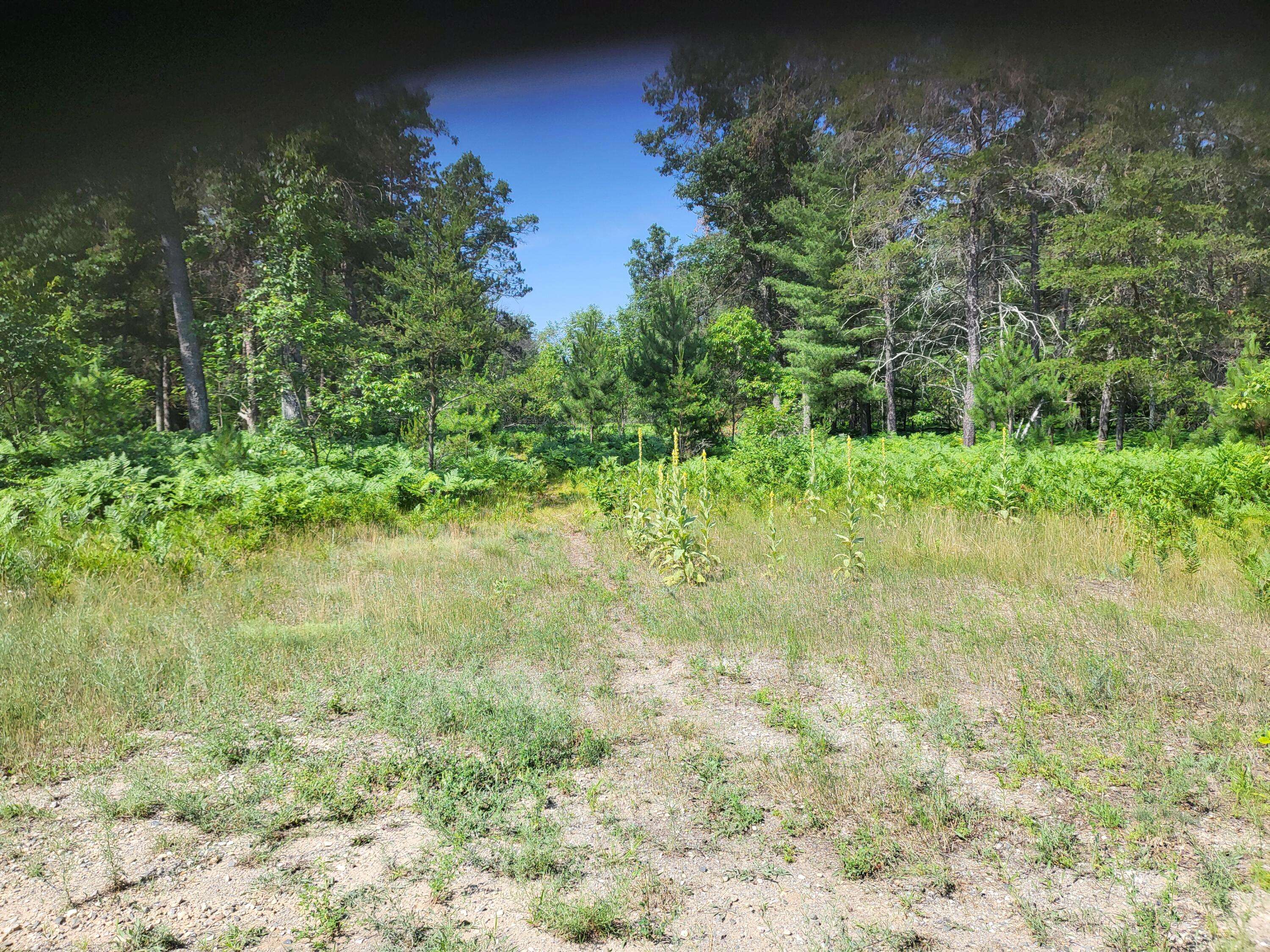 Grayling, MI 49738,Lot 30 Norseman DR Drive