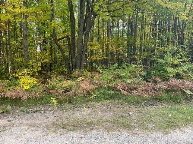 Roscommon, MI 48653,Lot 10 Fairway DR Drive