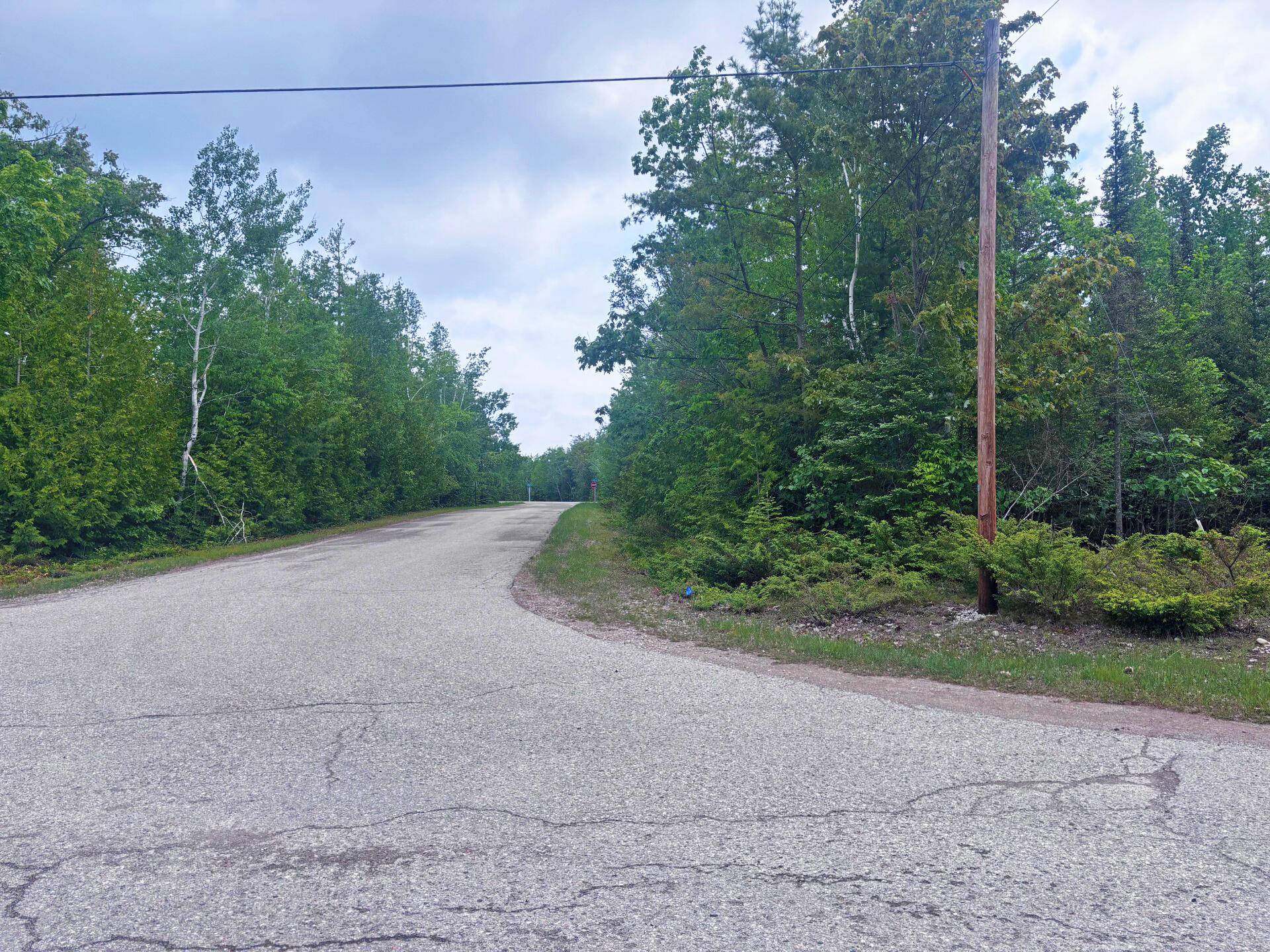Presque Isle, MI 49777,Lot 115 Bonita DR Drive