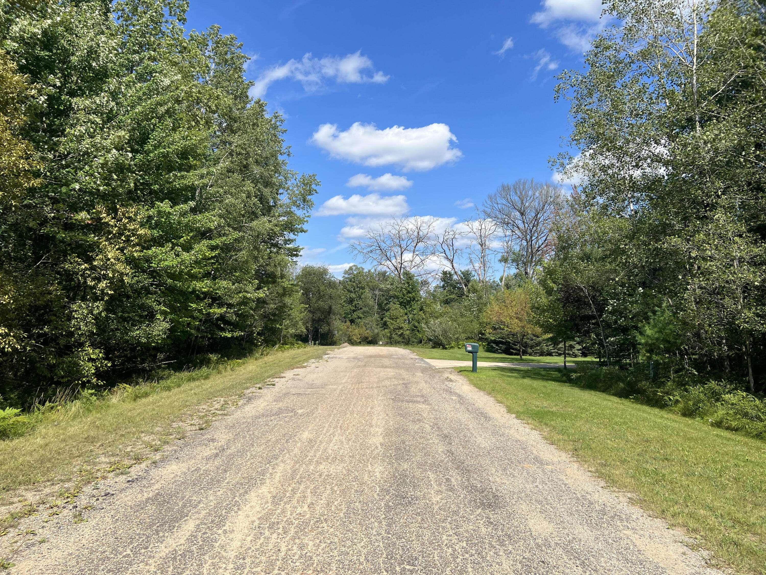 Grayling, MI 49738,31 Birdie CIR Circle