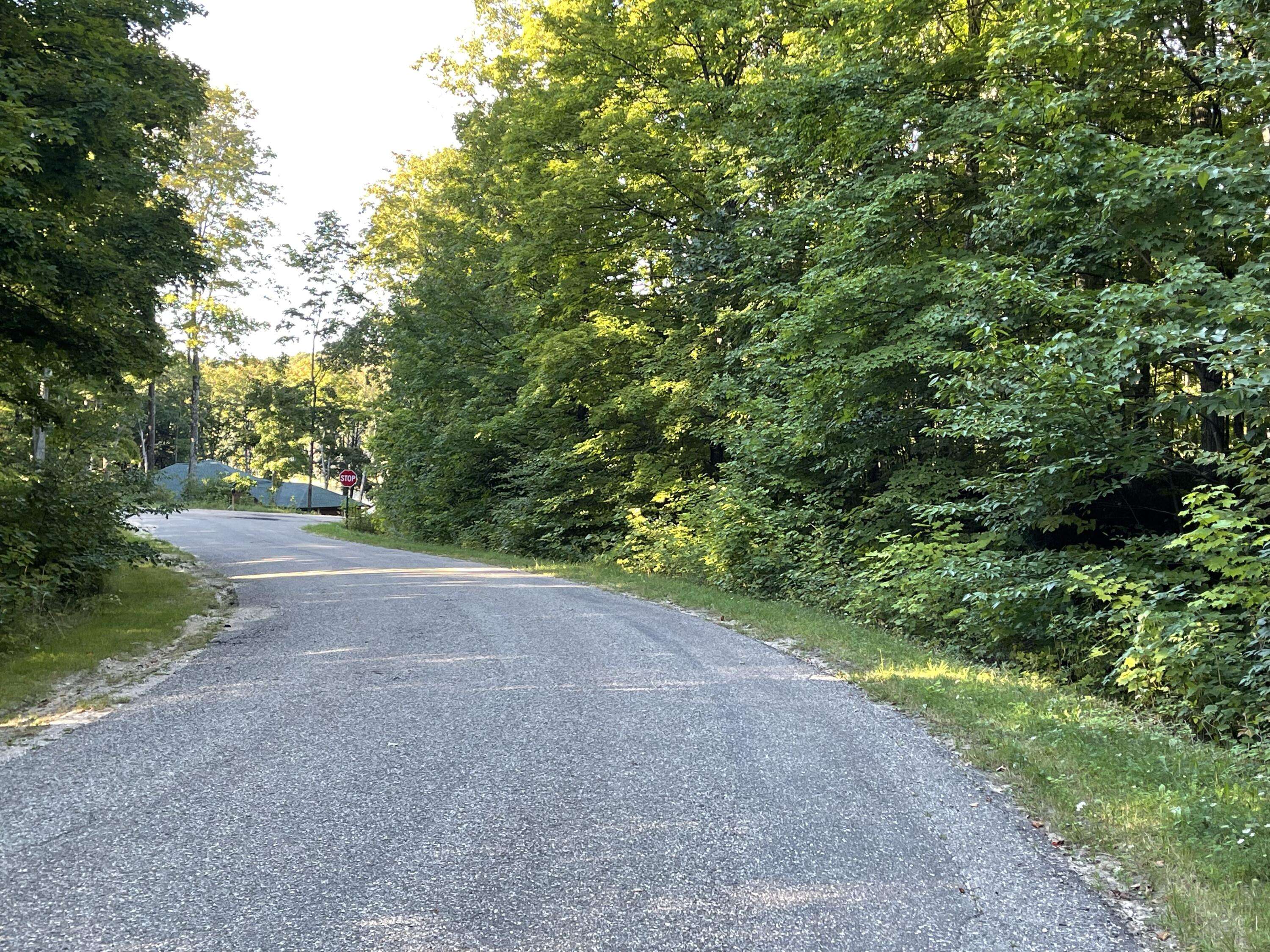 Gaylord, MI 49735,LOT 11 NORTHRIDGE RD Road