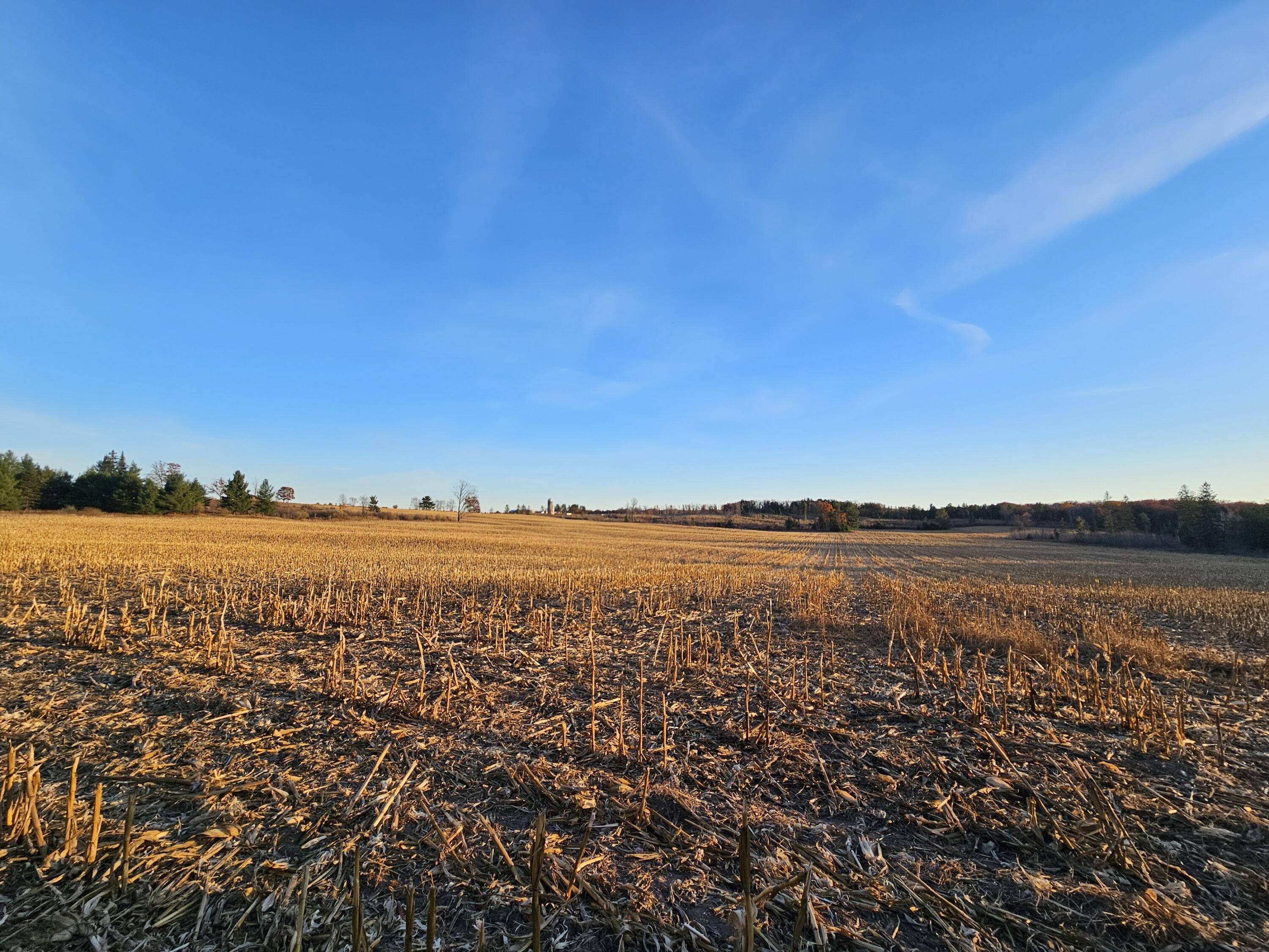 Lachine, MI 49753,NHN Beaver Lake Park RD Road