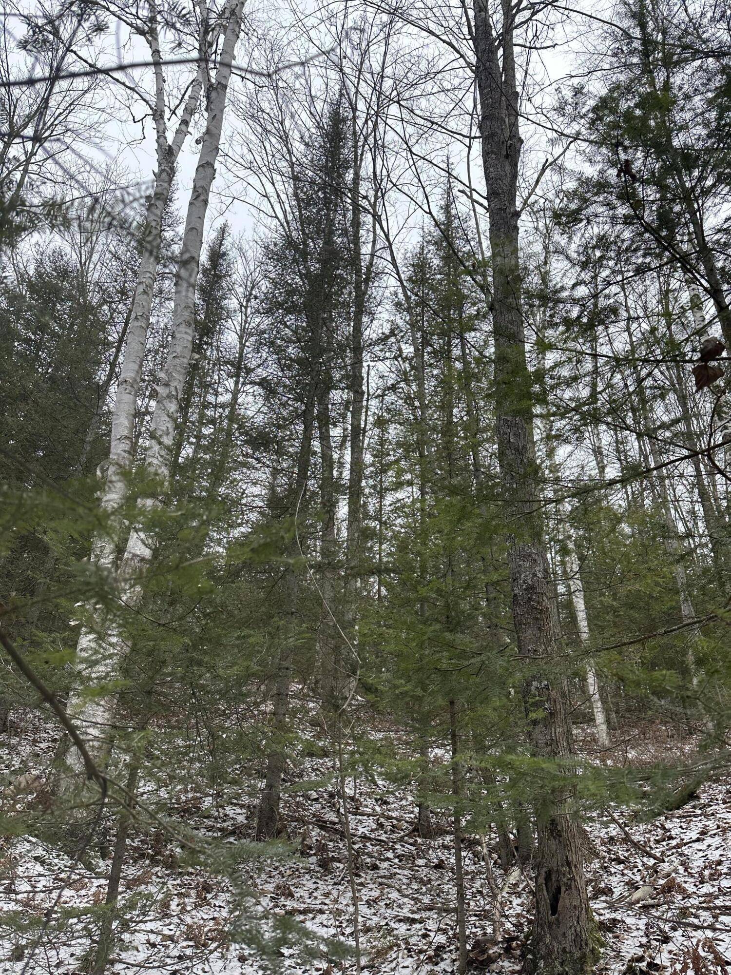 Atlanta, MI 49709,18335 Pleasant Valley Road RD Road