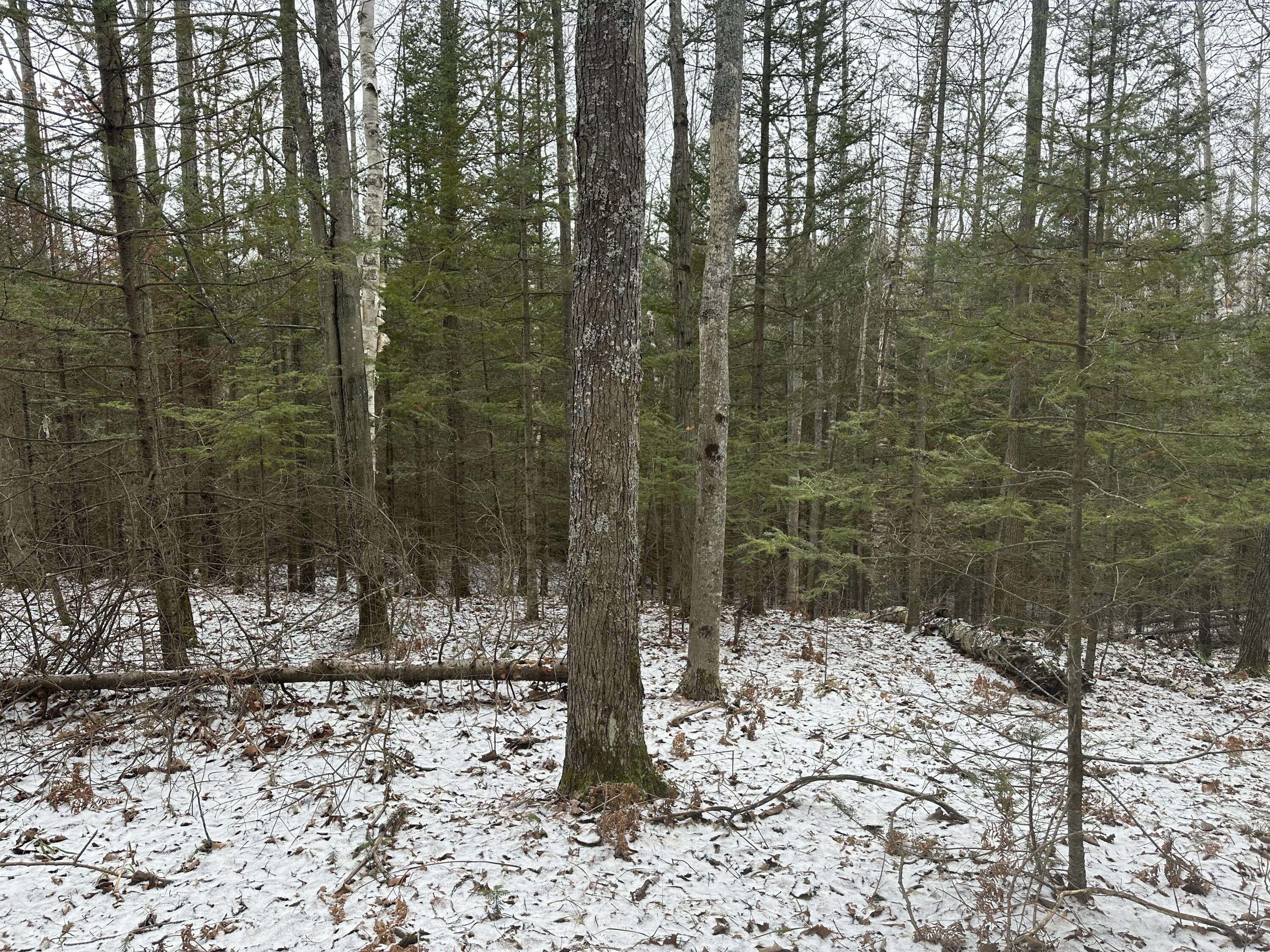 Atlanta, MI 49709,18335 Pleasant Valley Road RD Road