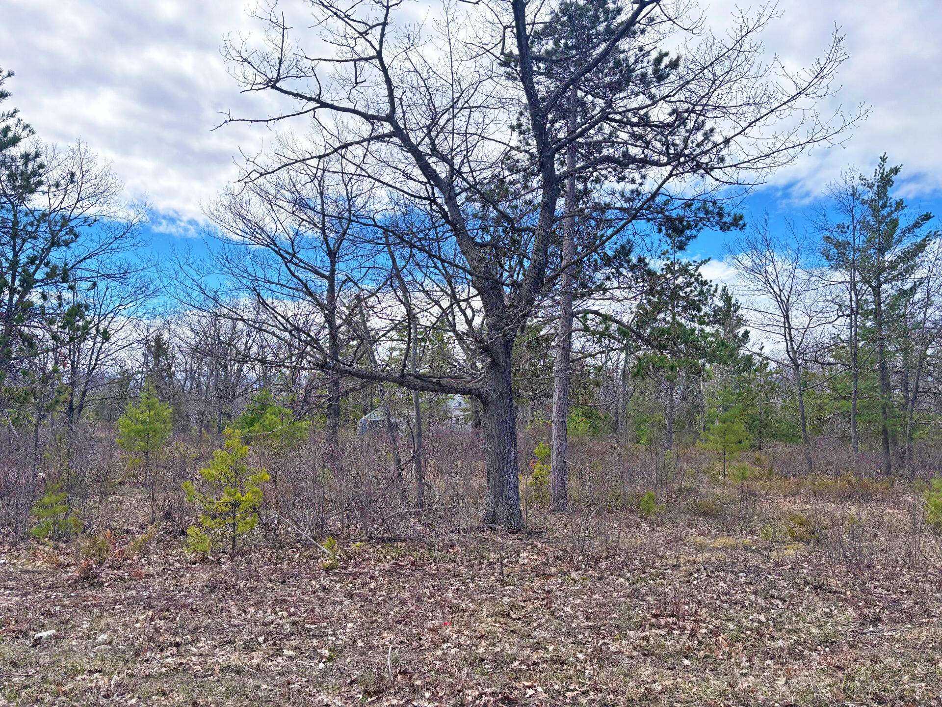 Presque Isle, MI 49777,Lot 36 County Rd. 638 HWY Highway