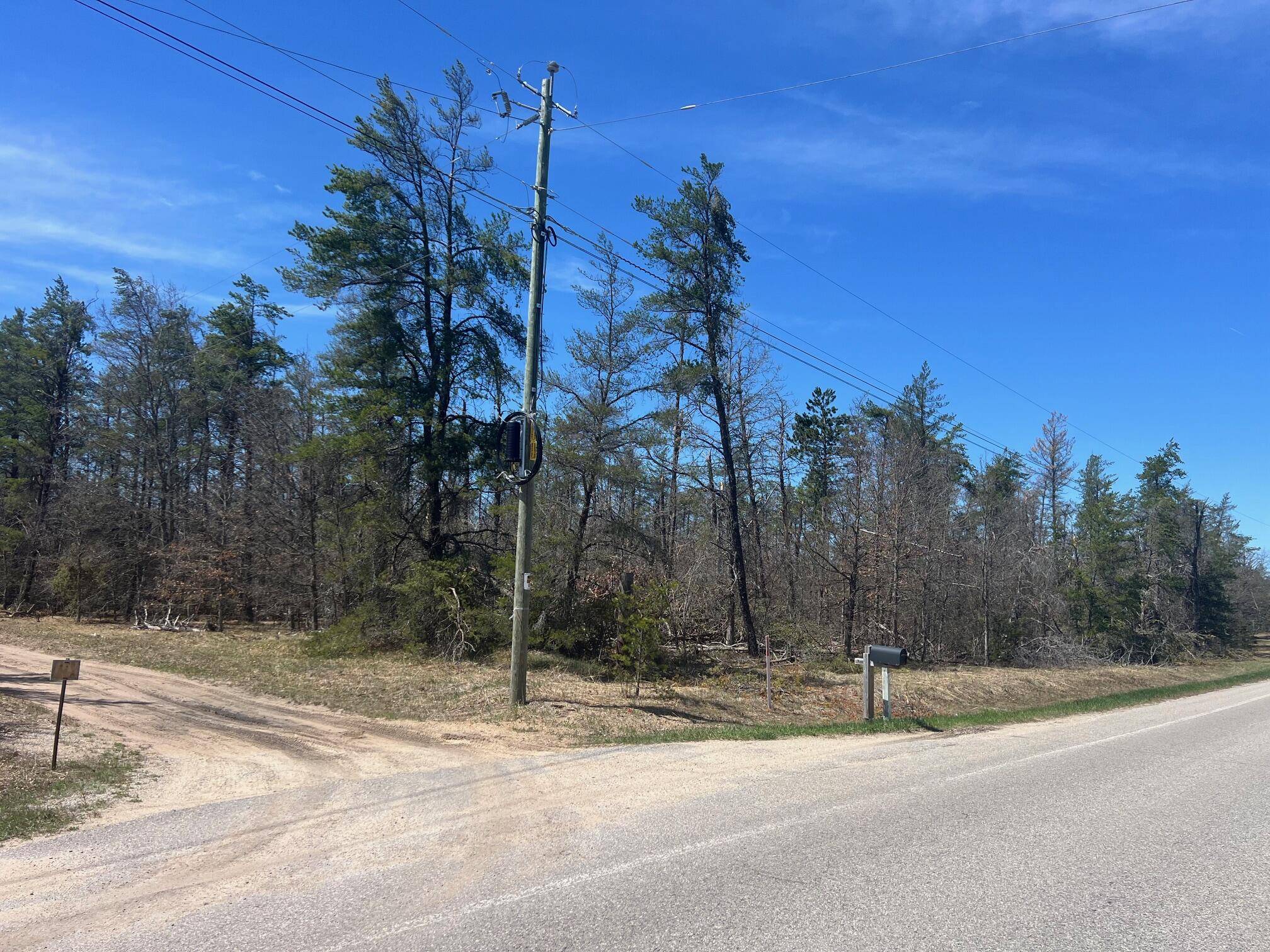 Grayling, MI 49738,Wilcox Bridge RD Road