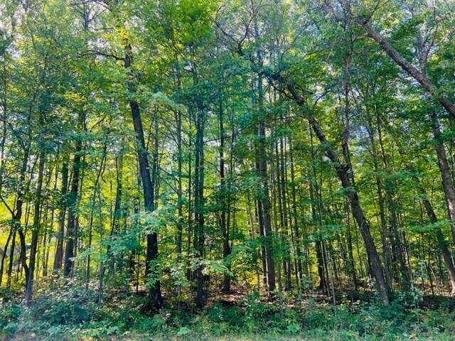 Roscommon, MI 48653,Lot 27 Fairway DR Drive