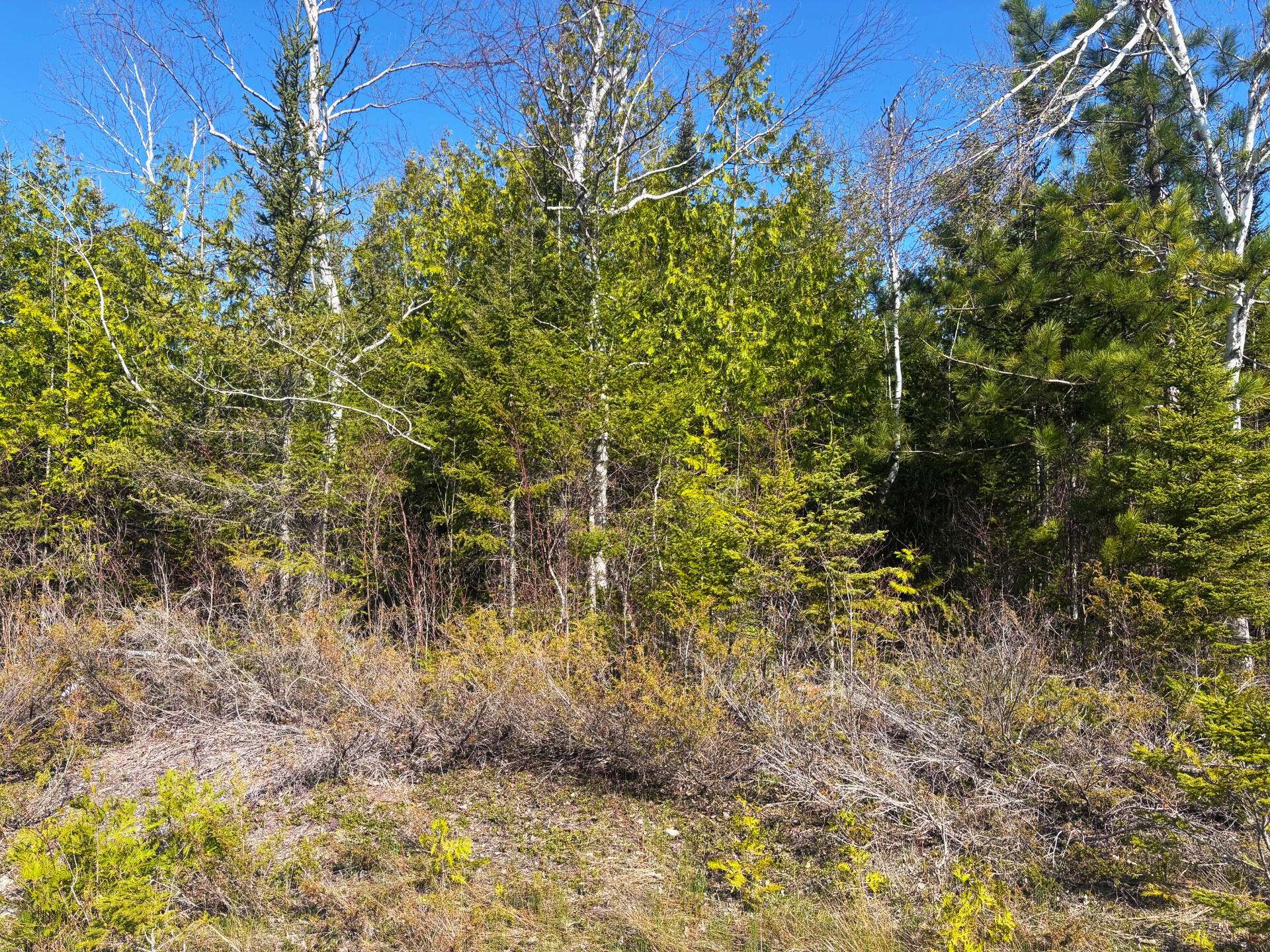 Presque Isle, MI 49777,Pineview DR Drive