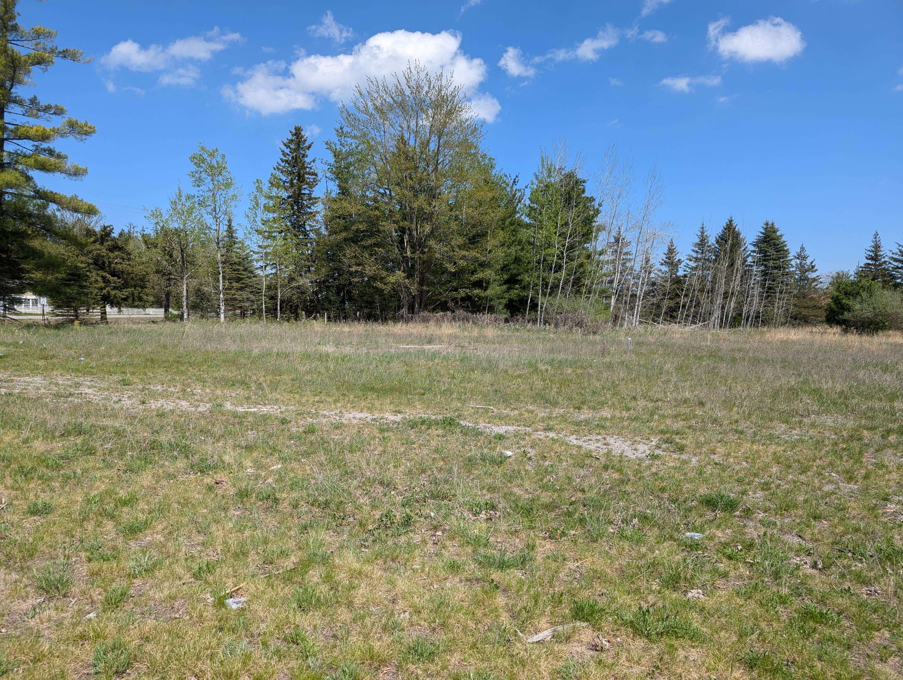 Hillman, MI 49746,520 State ST Street