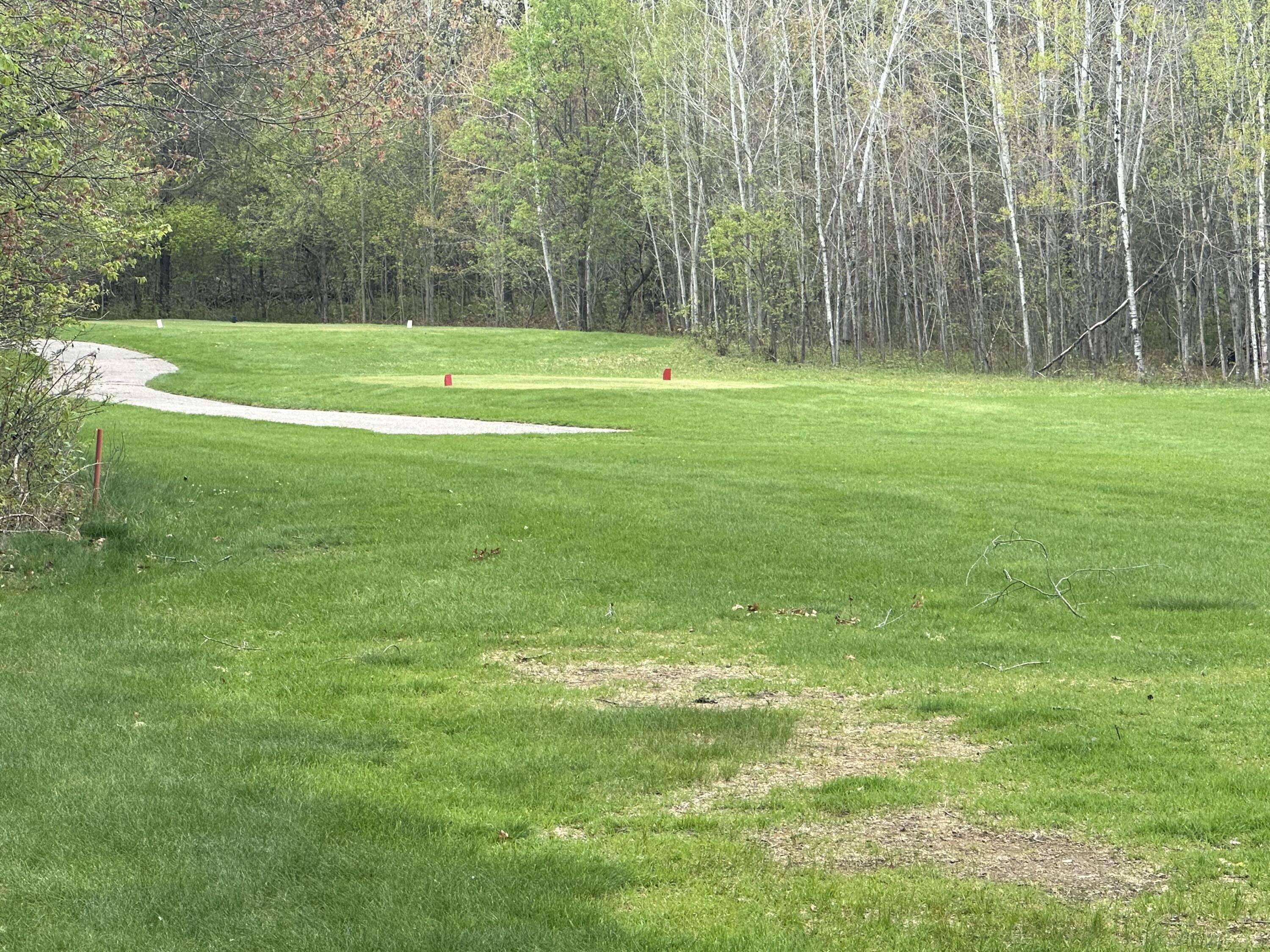 Grayling, MI 49738,Lot 6 Fairway CT Court