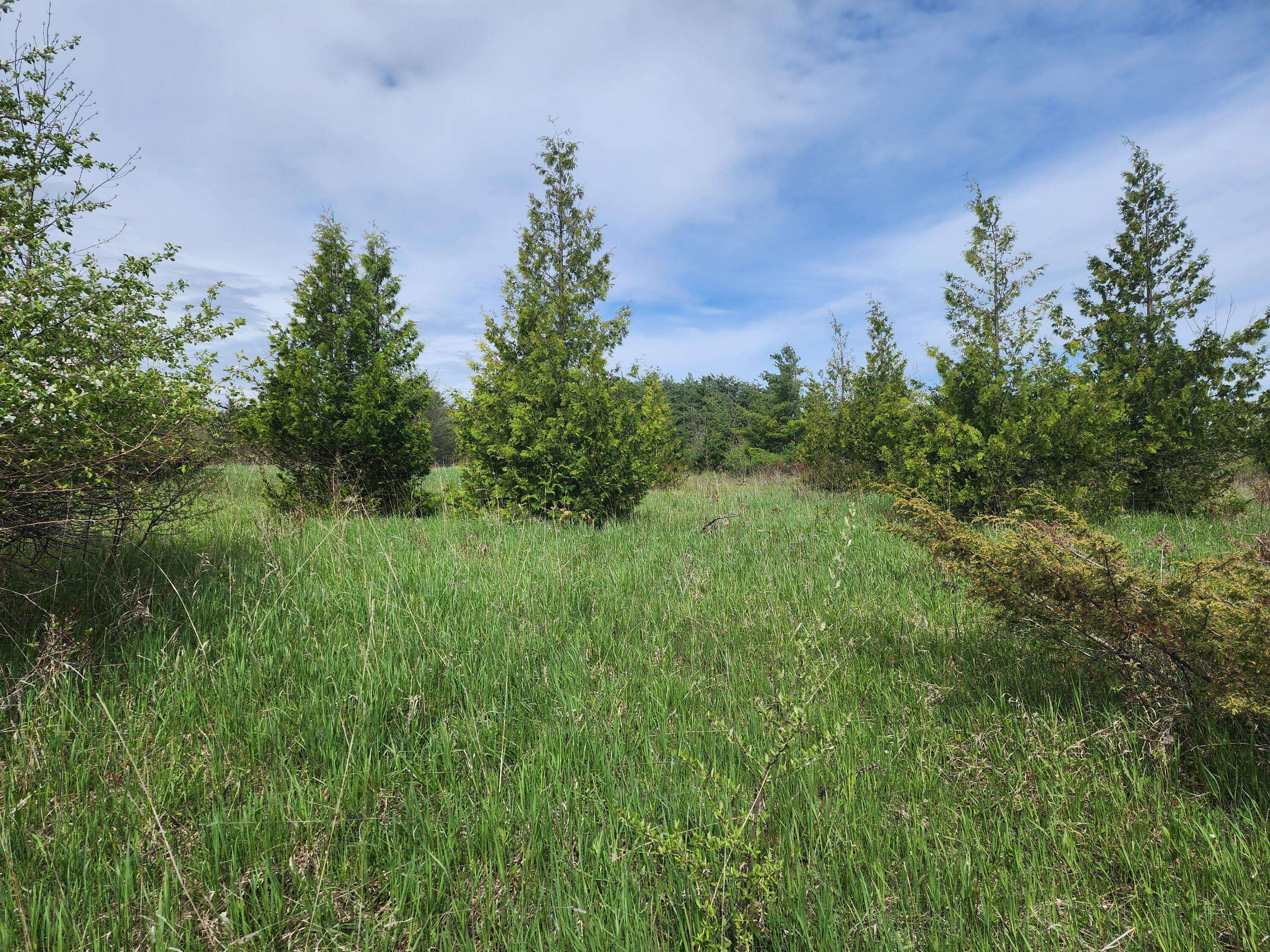 Cheboygan, MI 49721,9840 N Straits HWY Highway