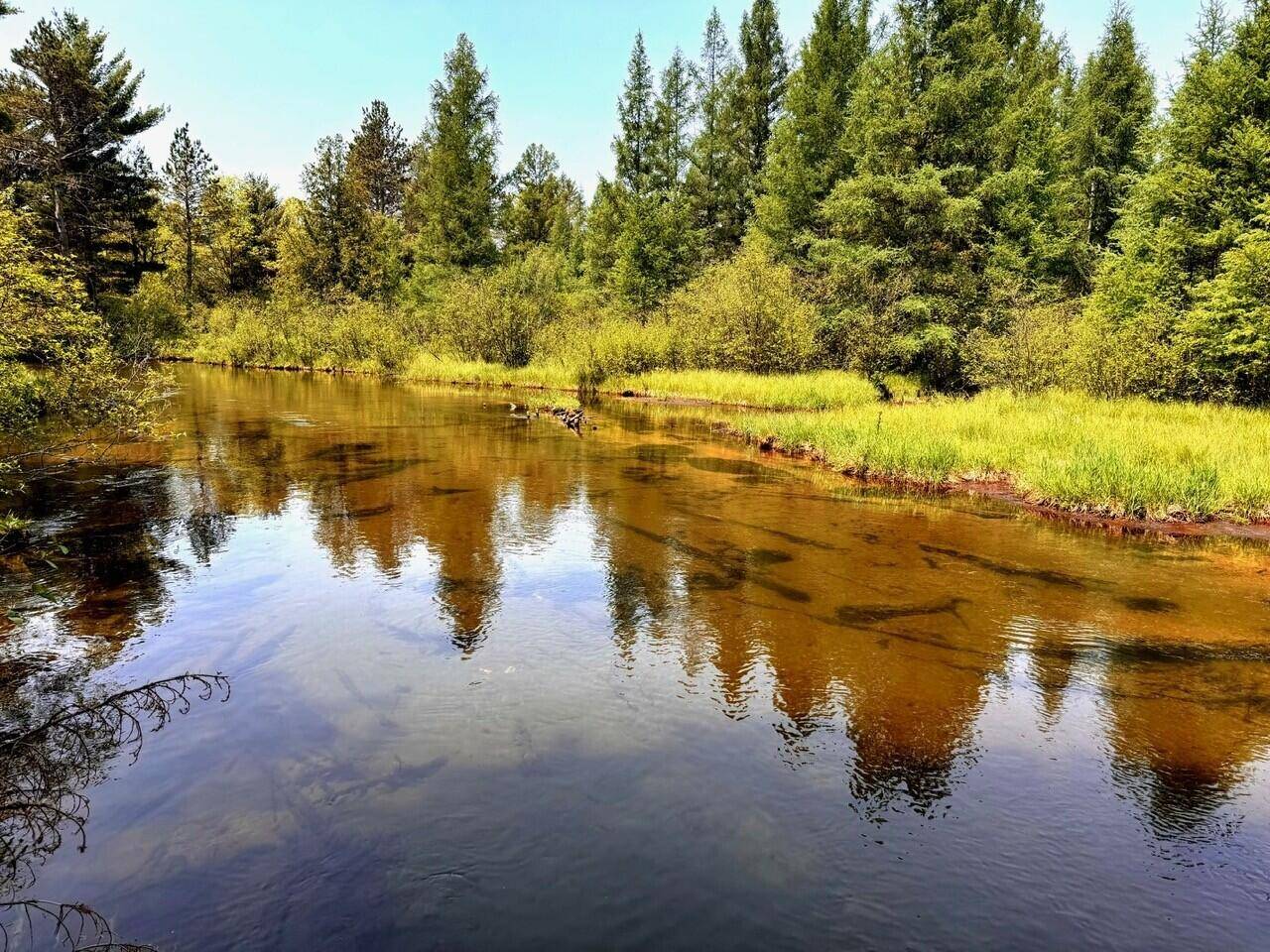 Frederic, MI 49733,6309 Hiawatha DR Drive