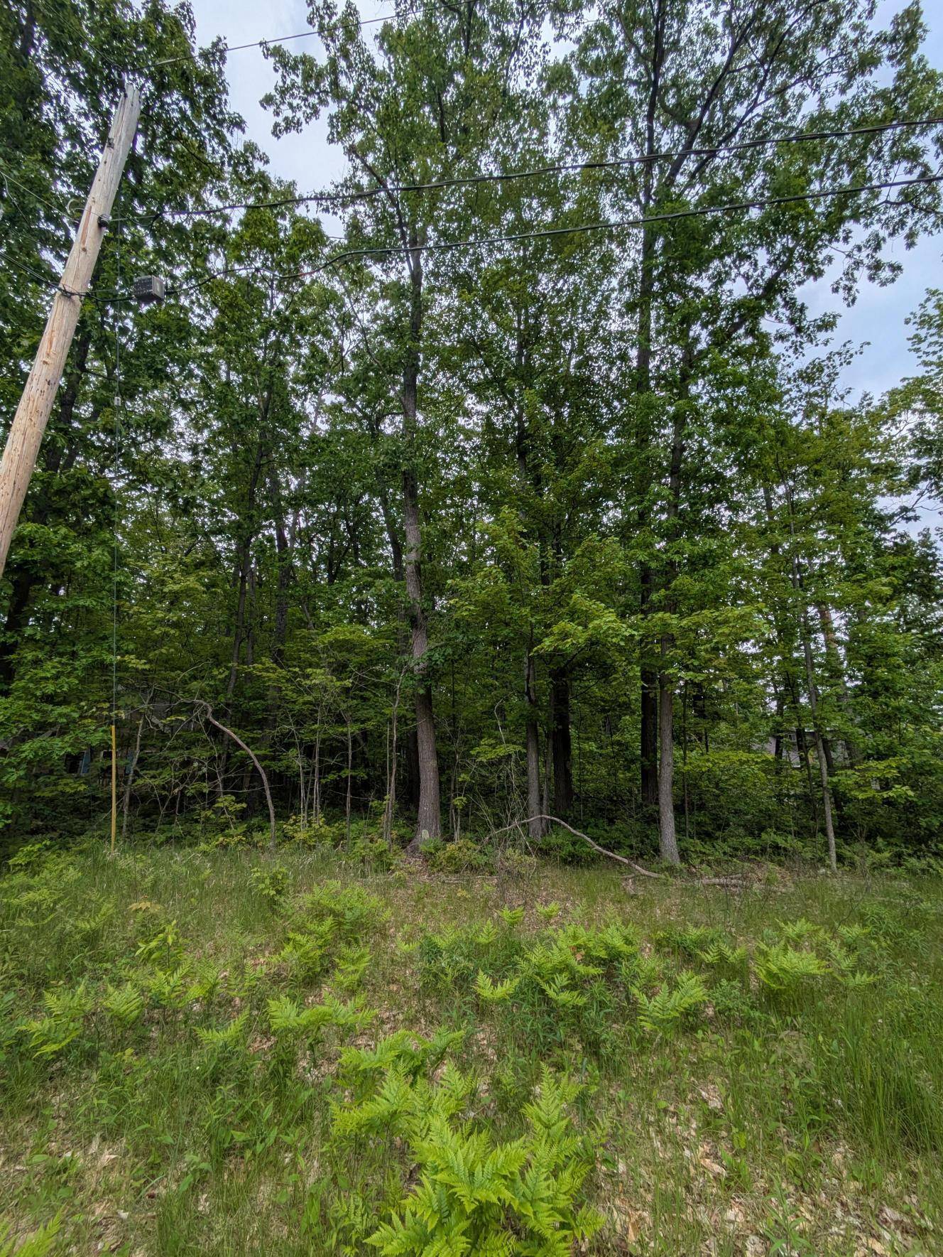 Roscommon, MI 48653,124 Brandywine DR Drive