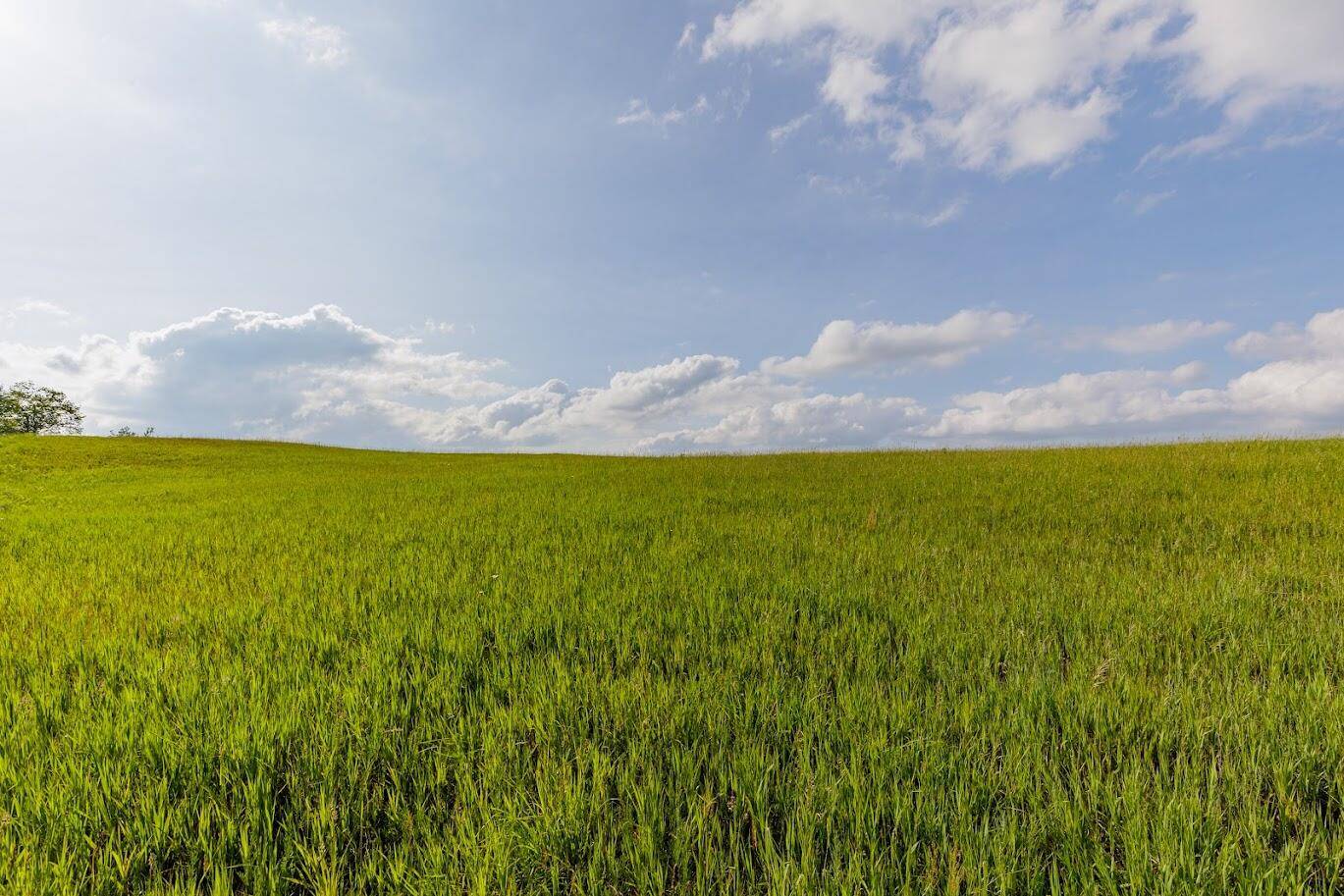 Onaway, MI 49765,Parcel A W 638 HWY Highway