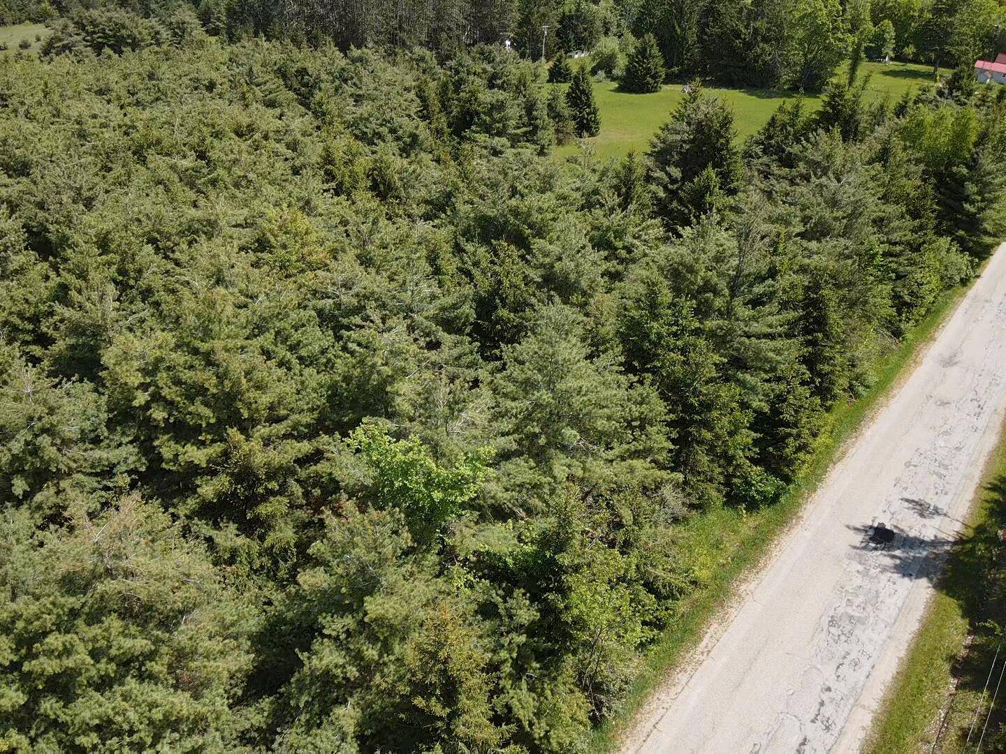 Alanson, MI 49706,Lot 3 E West Resort RD Road