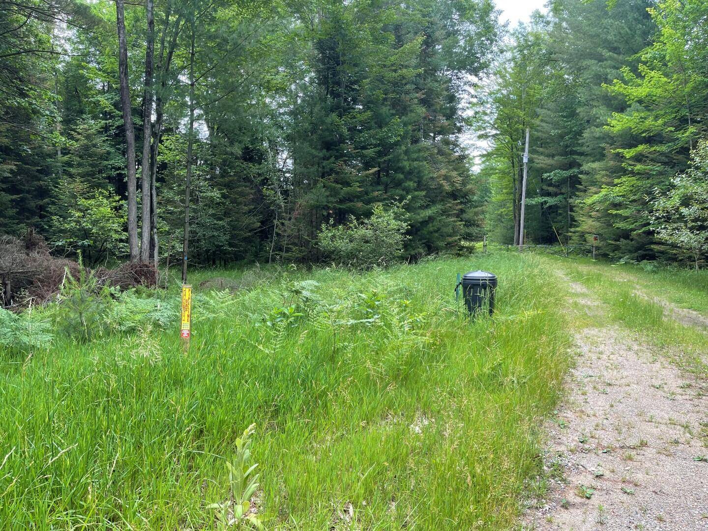 Prudenville, MI 48651,Lot 175 NESTLE RD Road