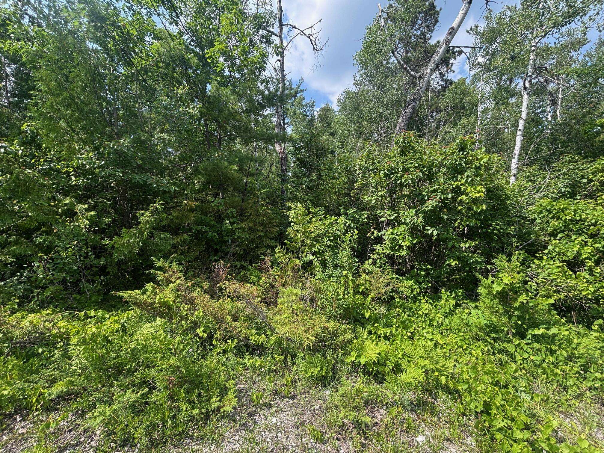 Presque Isle, MI 49777,NHN Cedar Terrace