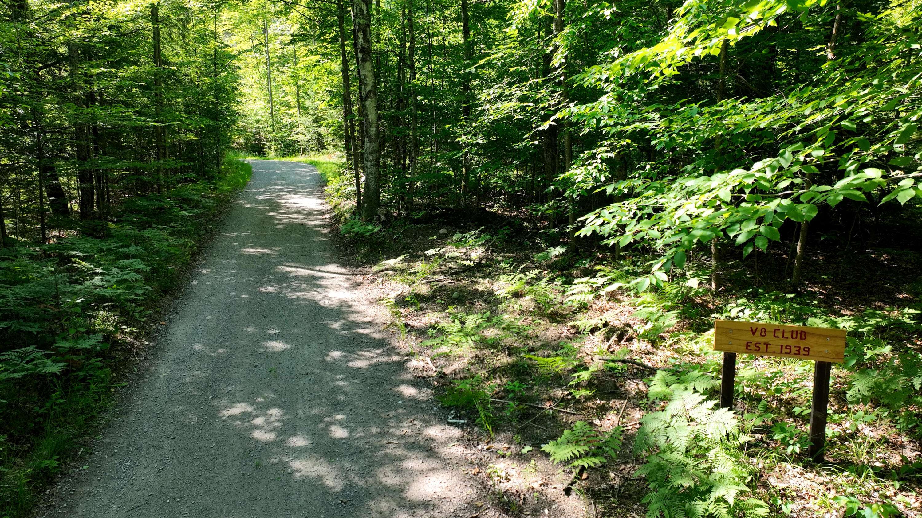 Atlanta, MI 49709,1377-Acres V8 Drive