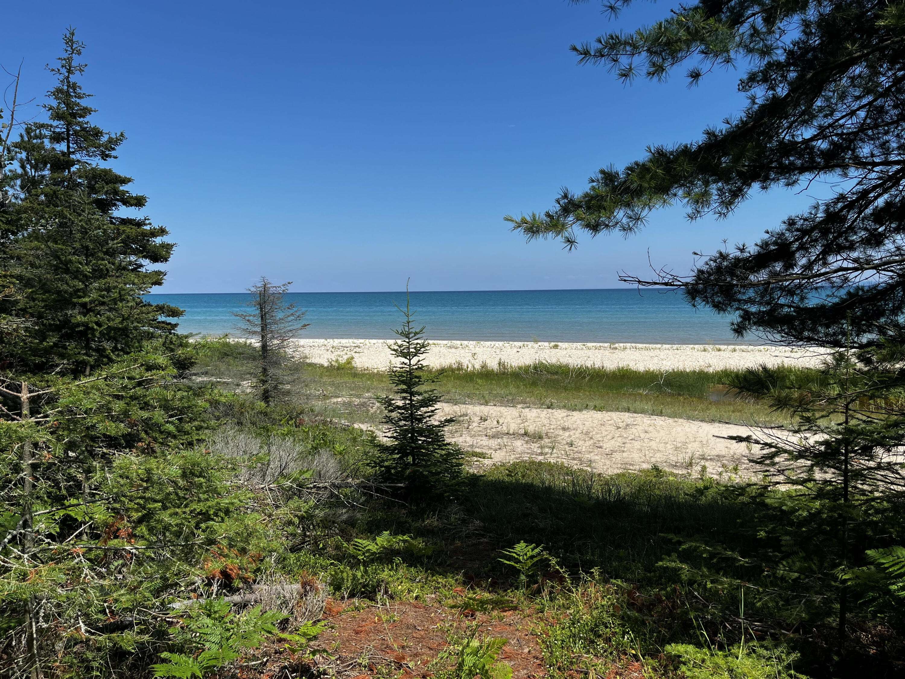 Beaver Island, MI 49782,V/L East Side DR Drive