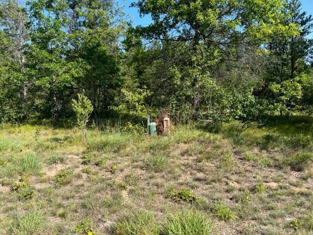 Grayling, MI 49738,Lot 21 Northwood DR Drive