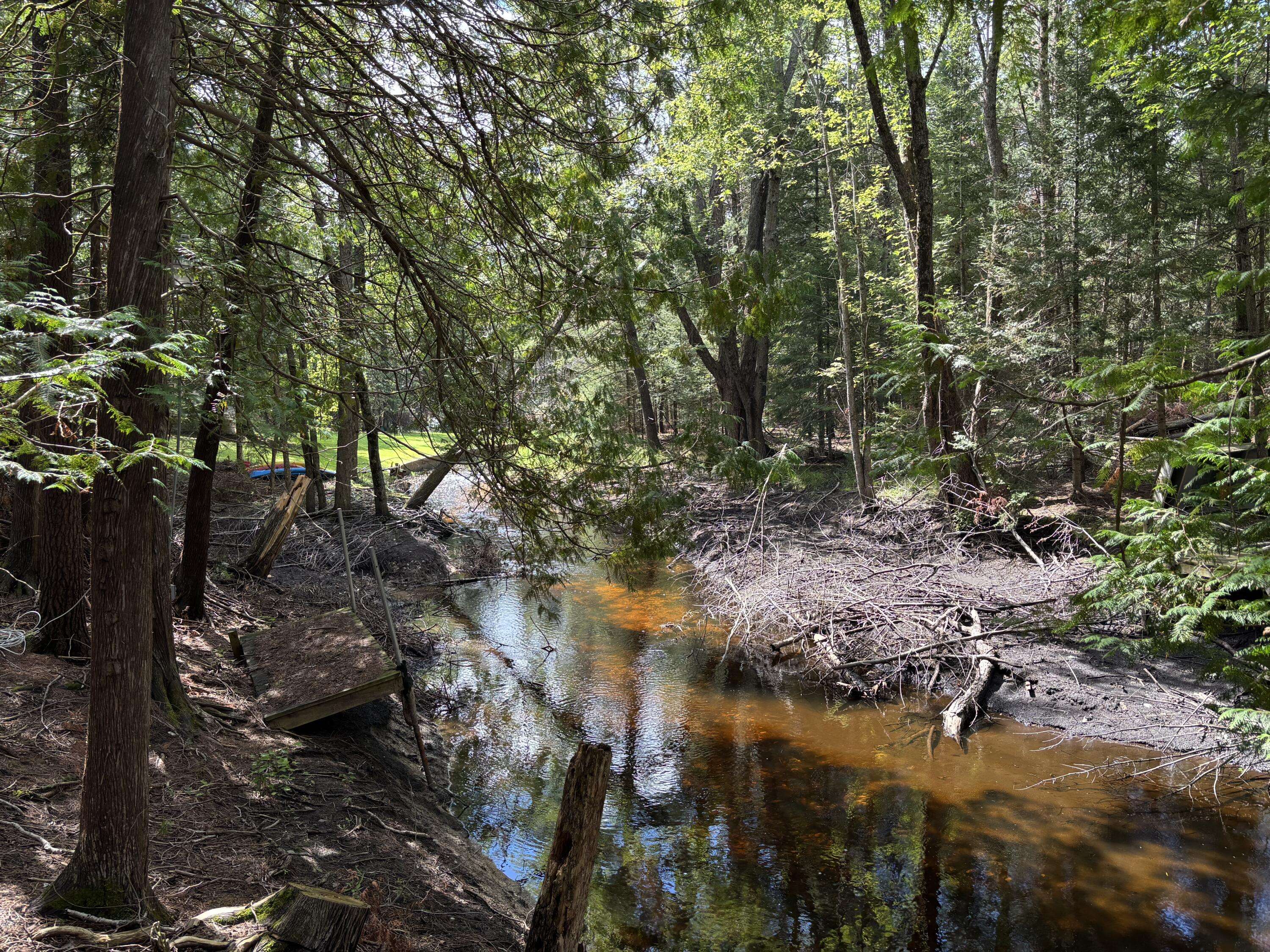 Millersburg, MI 49759,12498 E Shore DR Drive