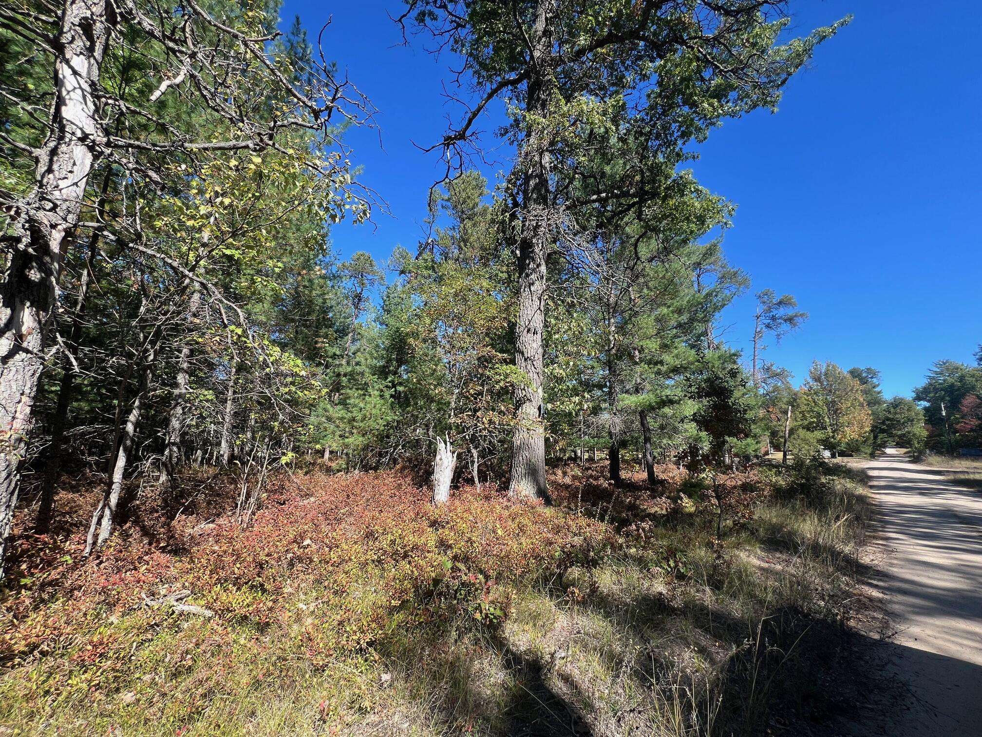 Grayling, MI 49738,V/L L18-21 Monroe AVE Avenue