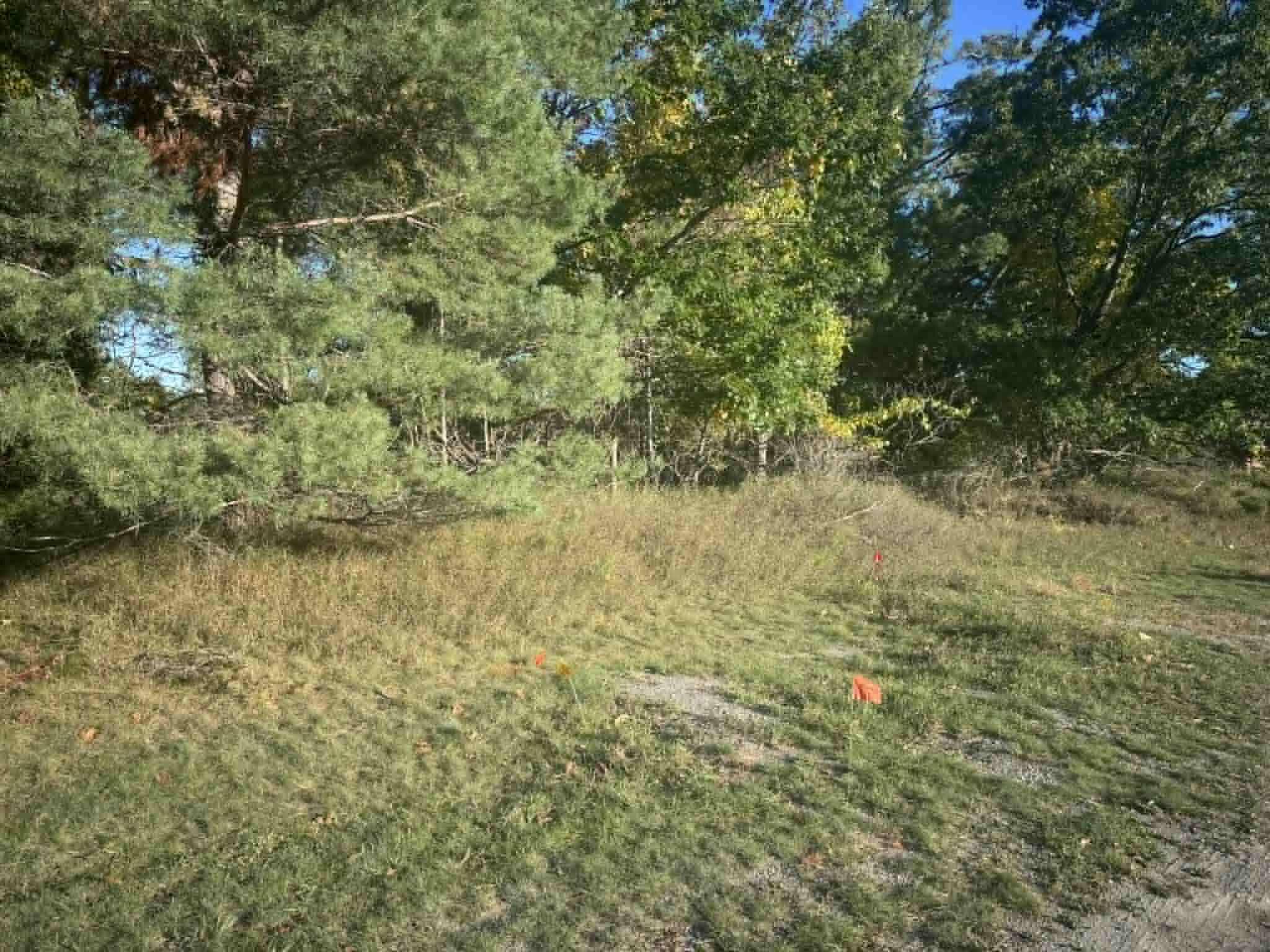 Alpena, MI 49707,109 Arbor LN Lane