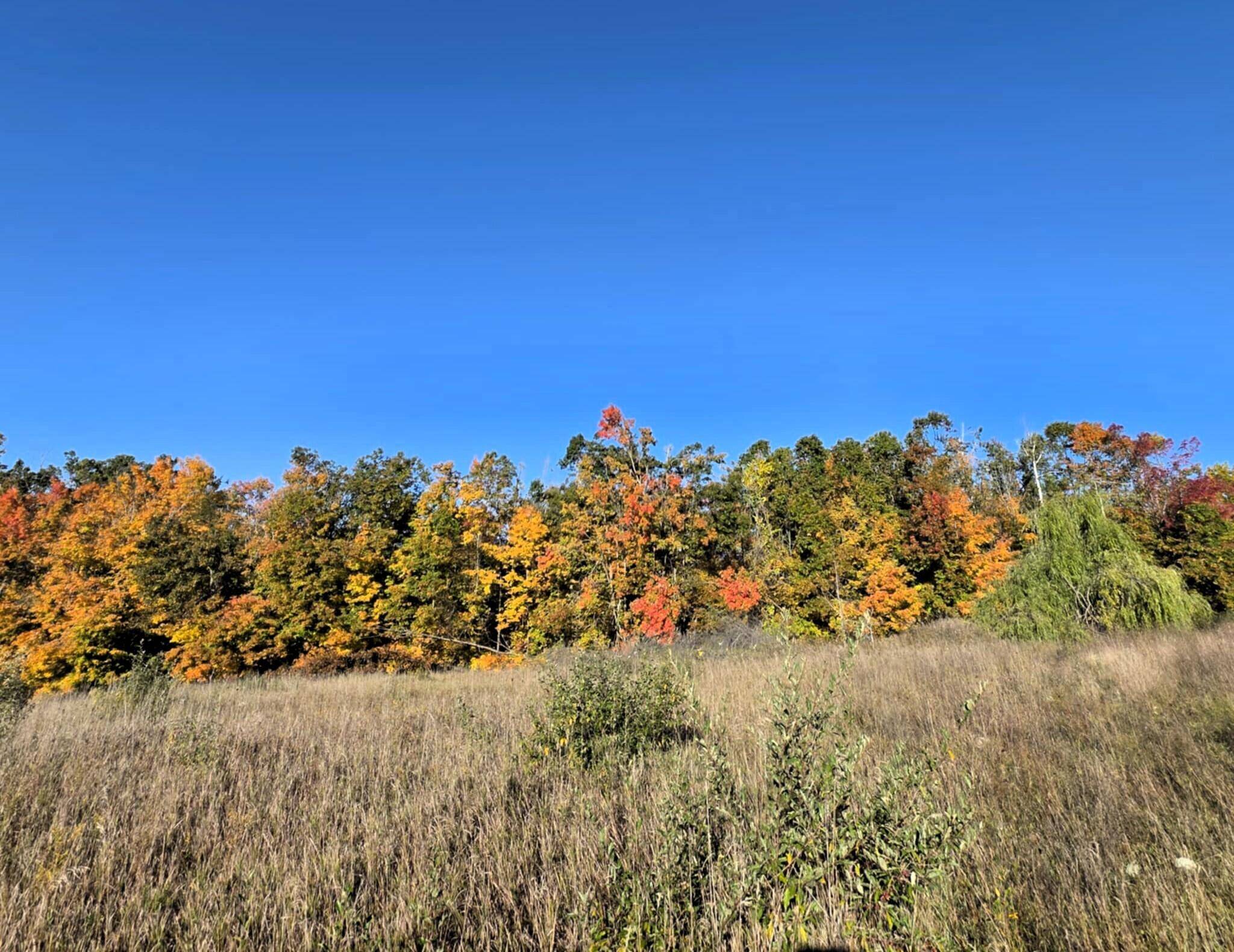 Hubbard Lake, MI 49747,11080 Wolf Creek RD Road