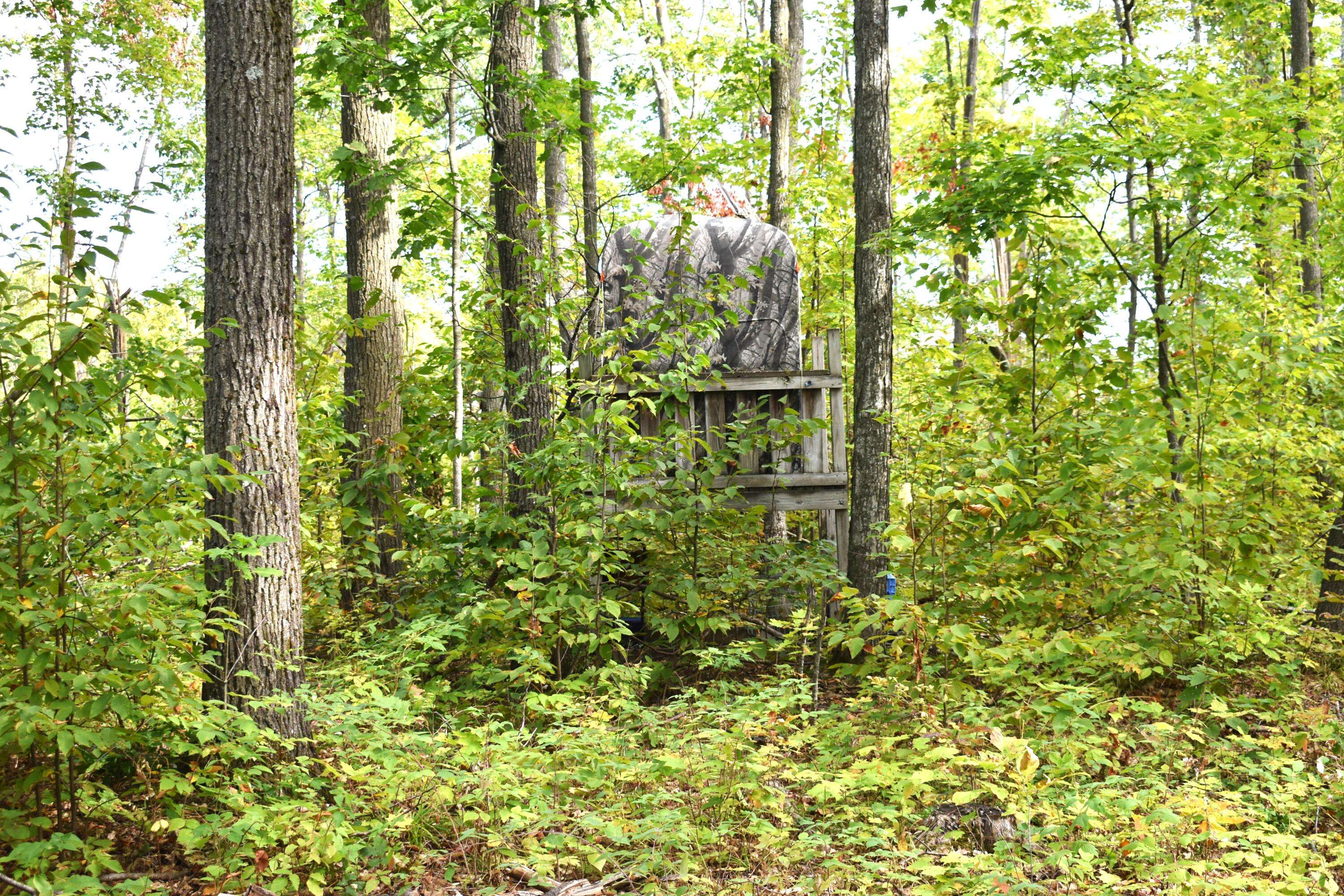 Wolverine, MI 49799,V/L 13AC Brudy RD Road