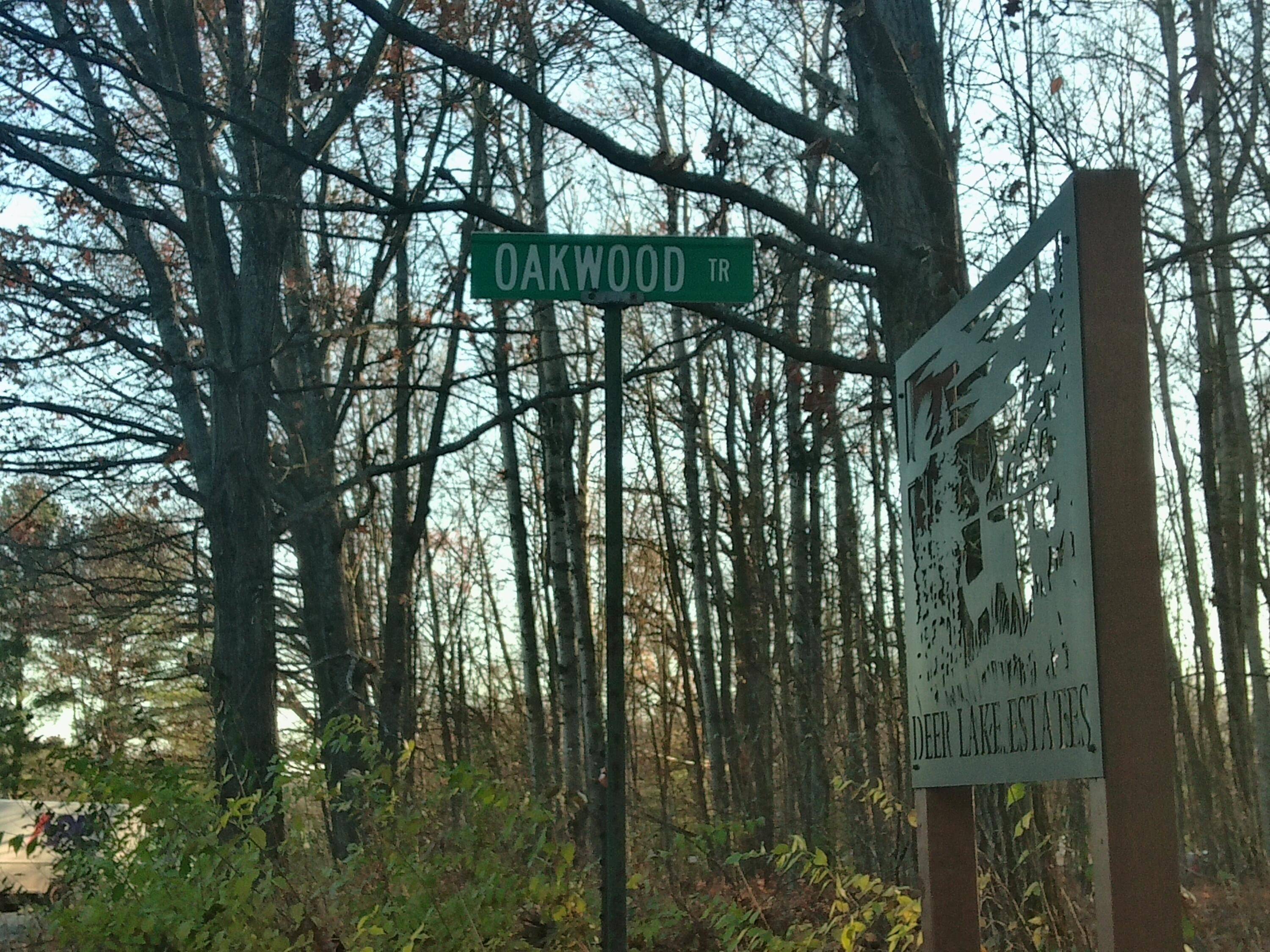 Reed City, MI 49677,9579 E Timberline TRL Trail