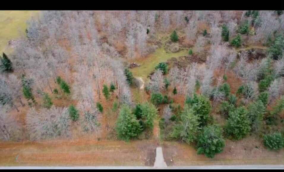 Curran, MI 48728,V/L 38ac N M-65 HWY Highway