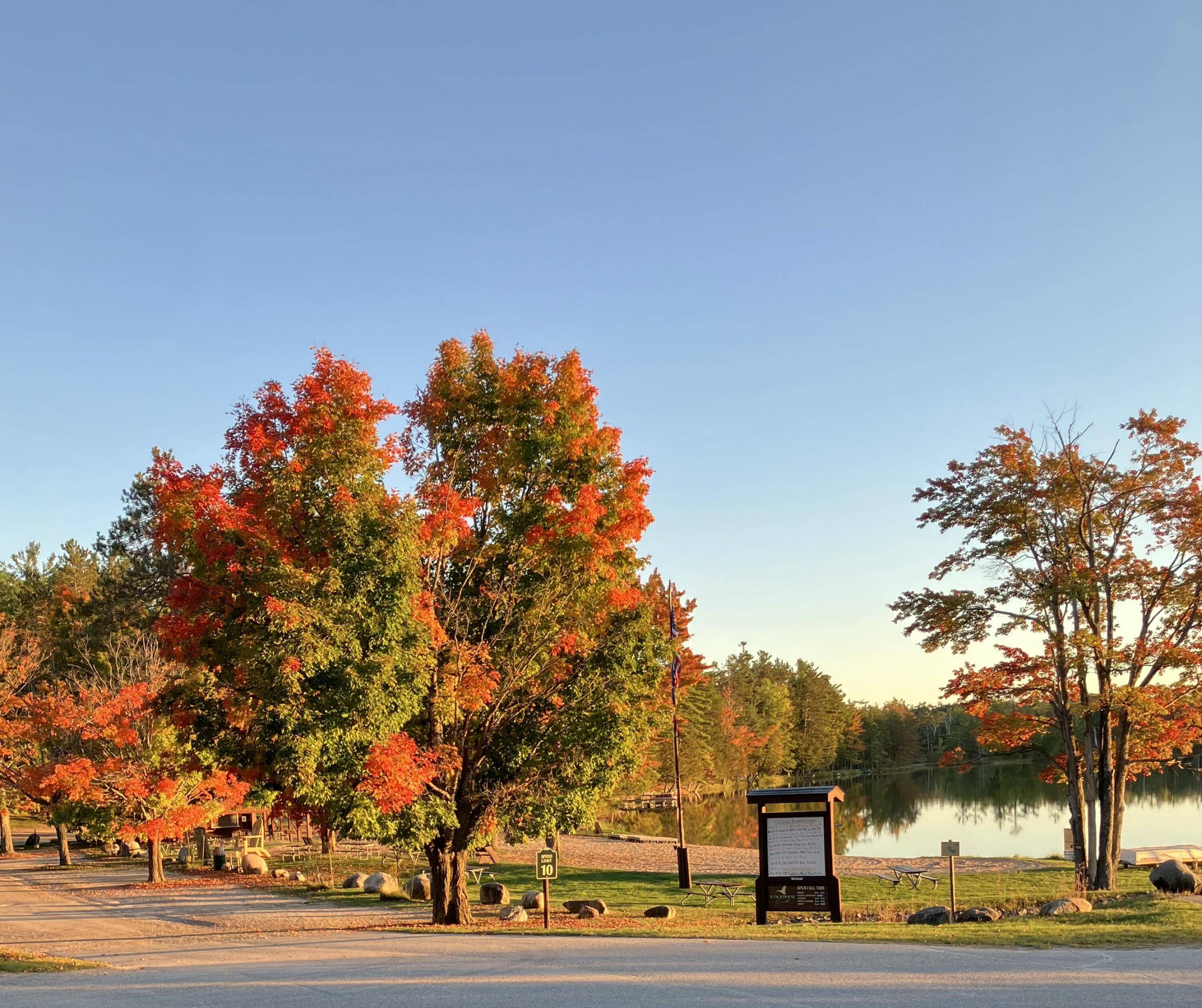 Atlanta, MI 49709,23840 Geneva TRL Trail