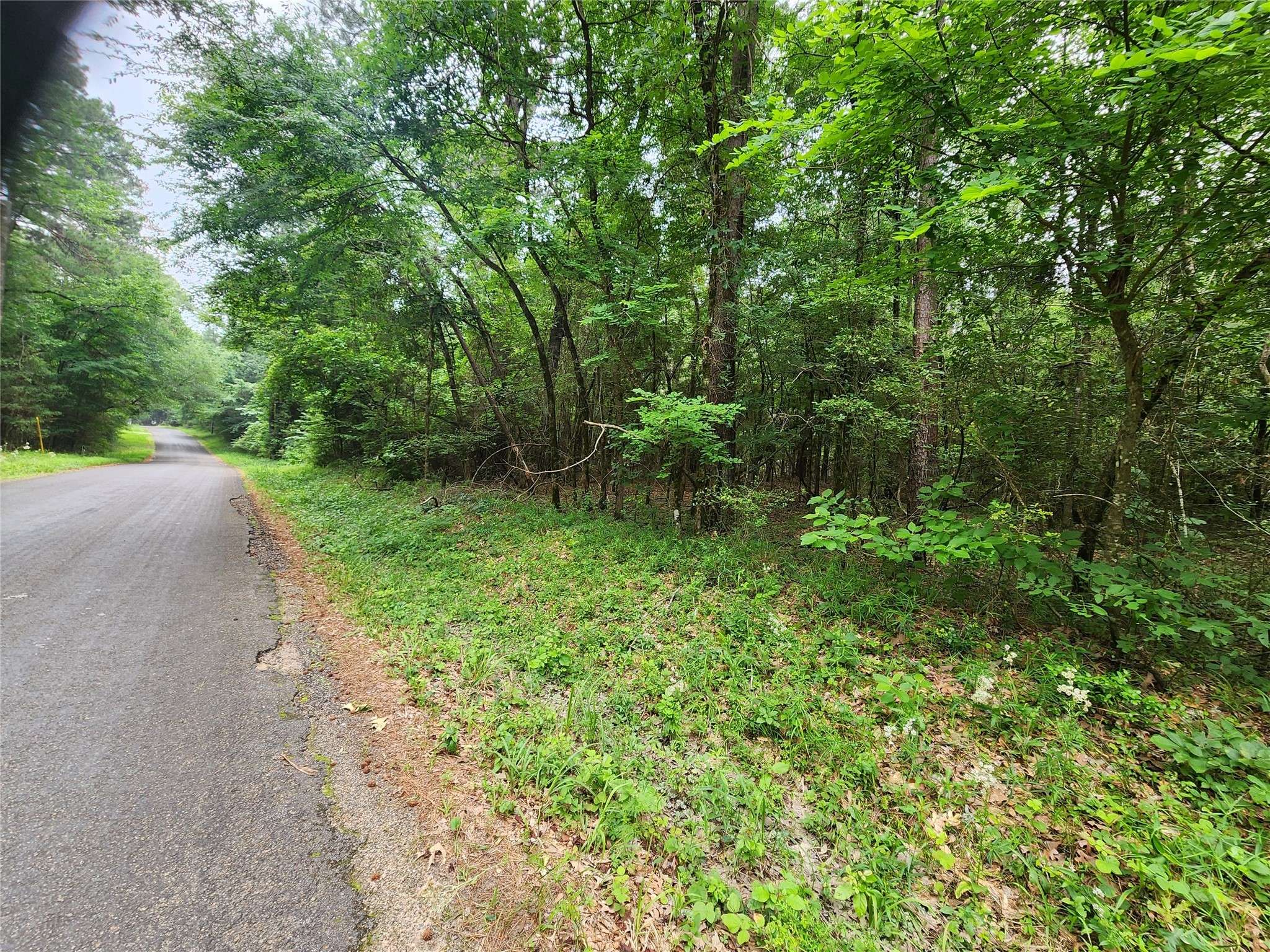 Livingston, TX 77351,207 Long King
