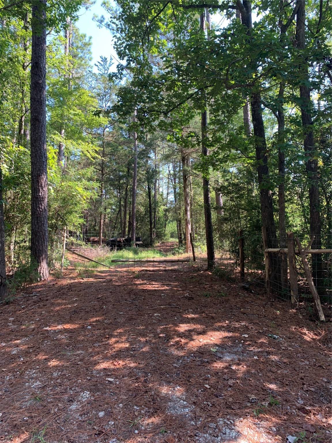 New Waverly, TX 77358,Lot 3 Wood Forest DR
