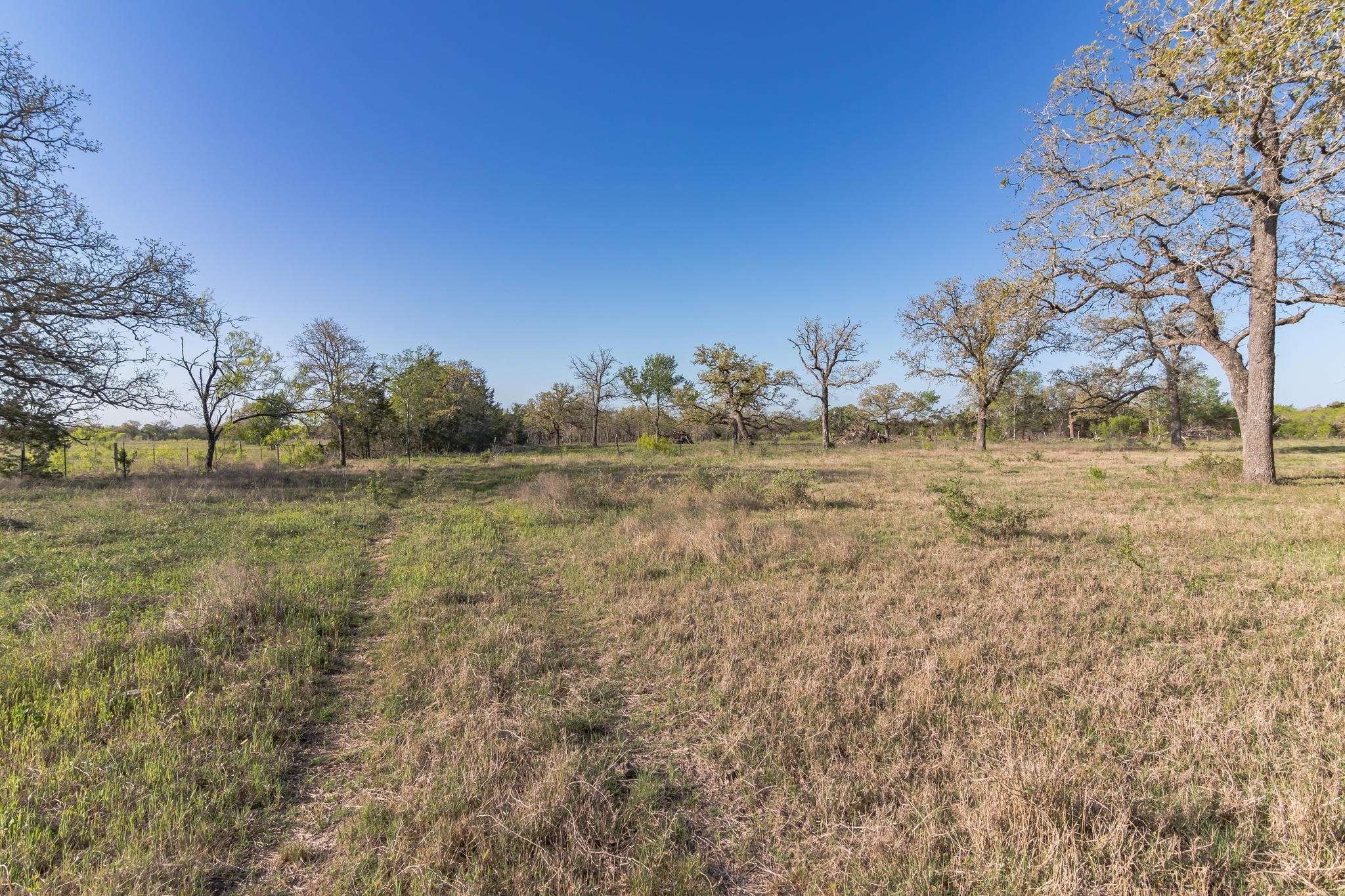 Flatonia, TX 78941,3747 Sparta Field RD