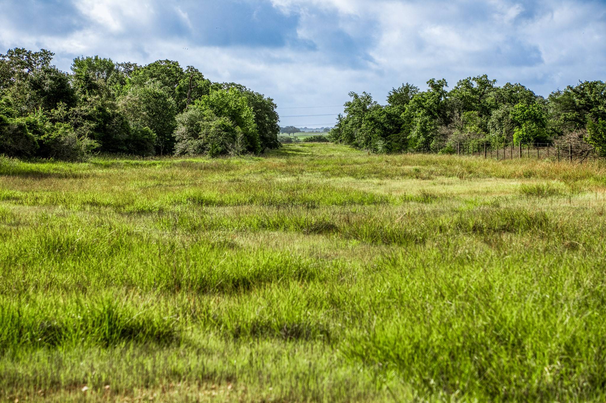 Round Top, TX 78954,Tract 11 S Nassau RD