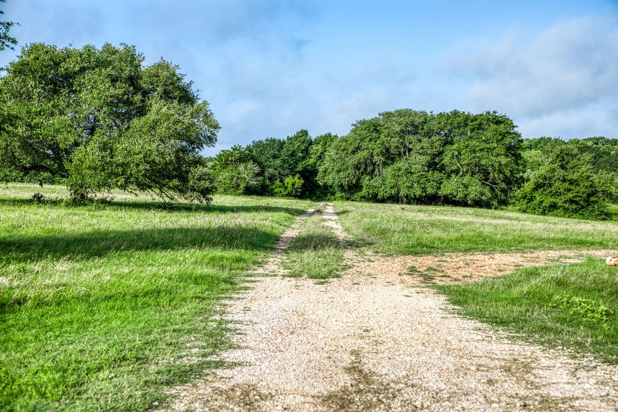 Round Top, TX 78954,Tract 11 S Nassau RD