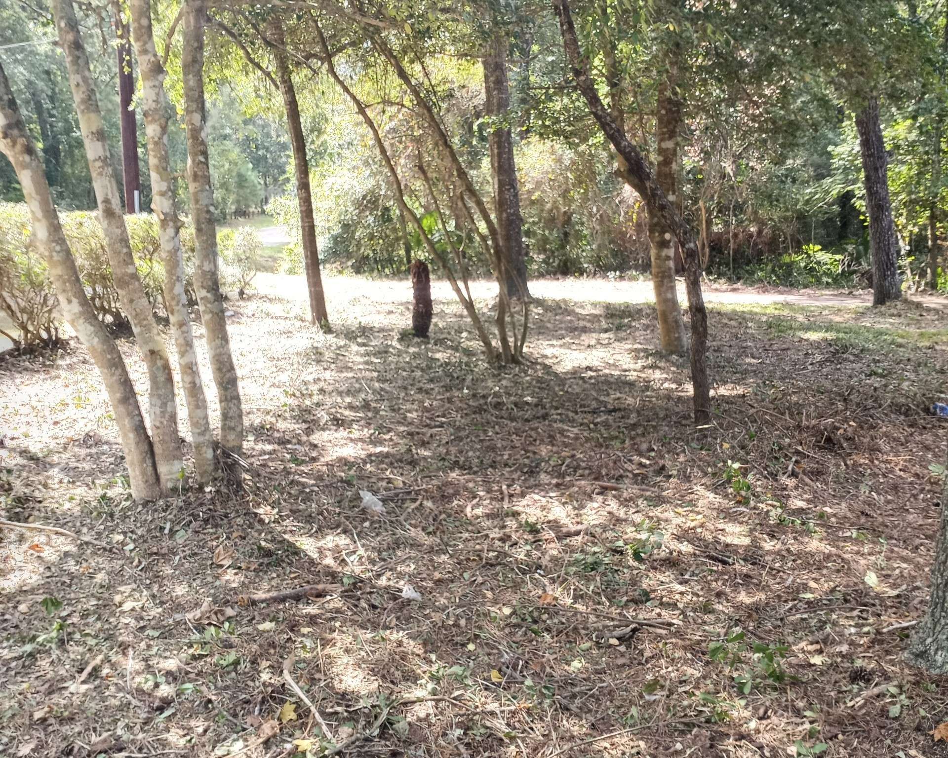 Magnolia, TX 77354,37402 Robin George TRL