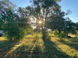 Navasota, TX 77868,15299 County Road 446