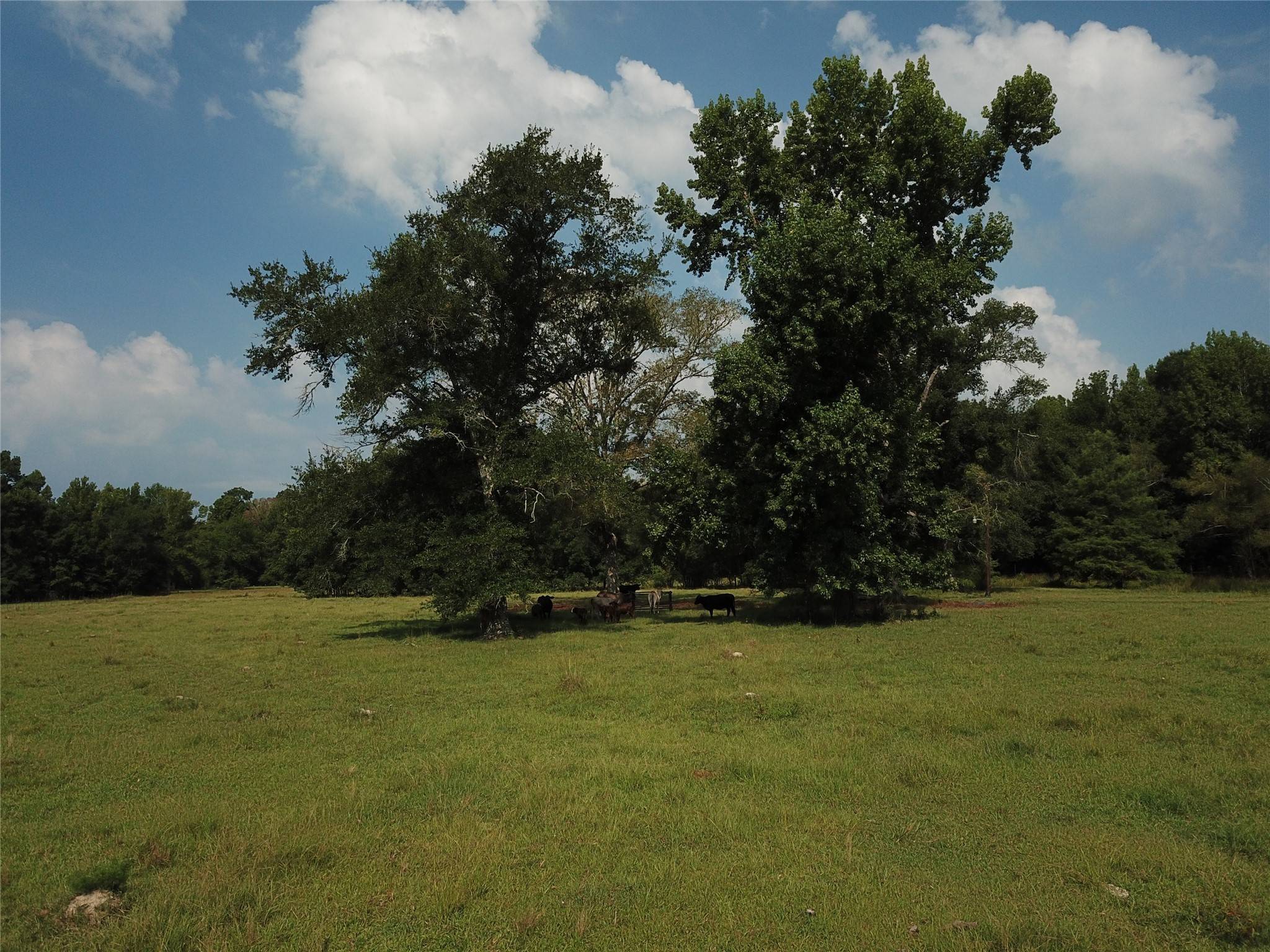 Burkeville, TX 75932,TBD Fm 1414