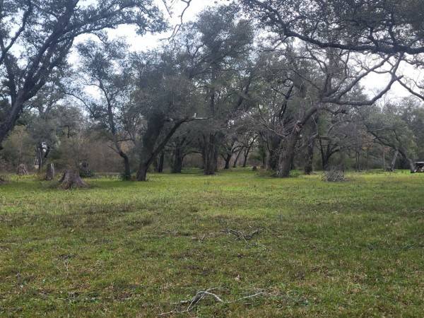 Angleton, TX 77515,148 Legend LN