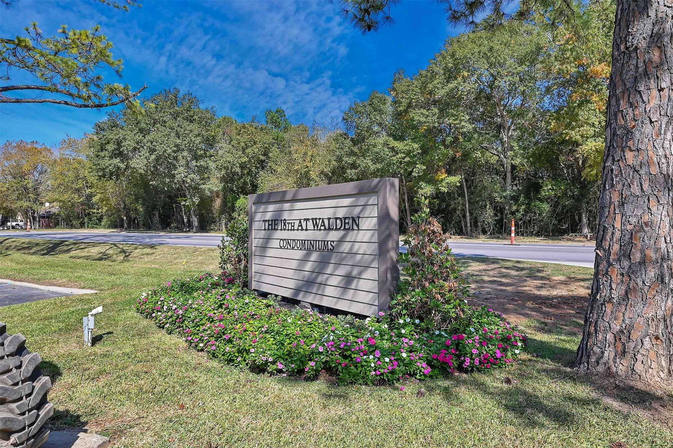 Montgomery, TX 77356,12900 Walden RD #312C