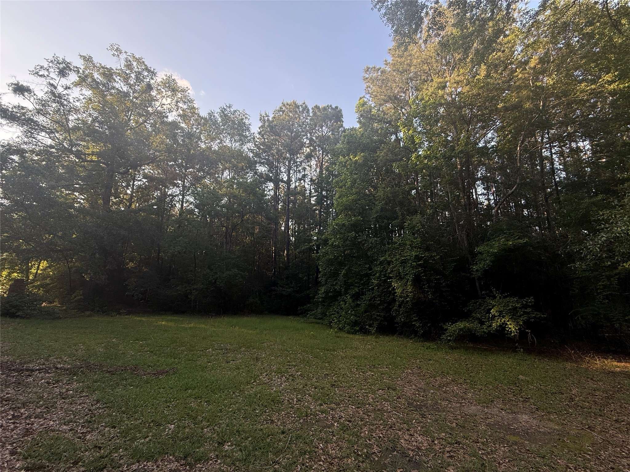 Woodville, TX 75979,TBD FORSE DRIVE