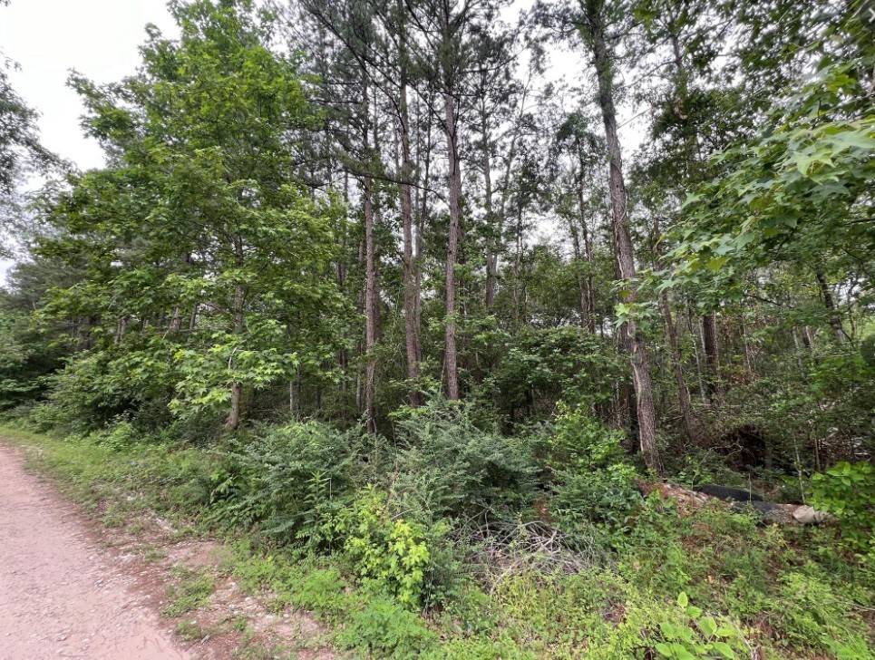 New Caney, TX 77357,19165 & 19169 Yorkshire